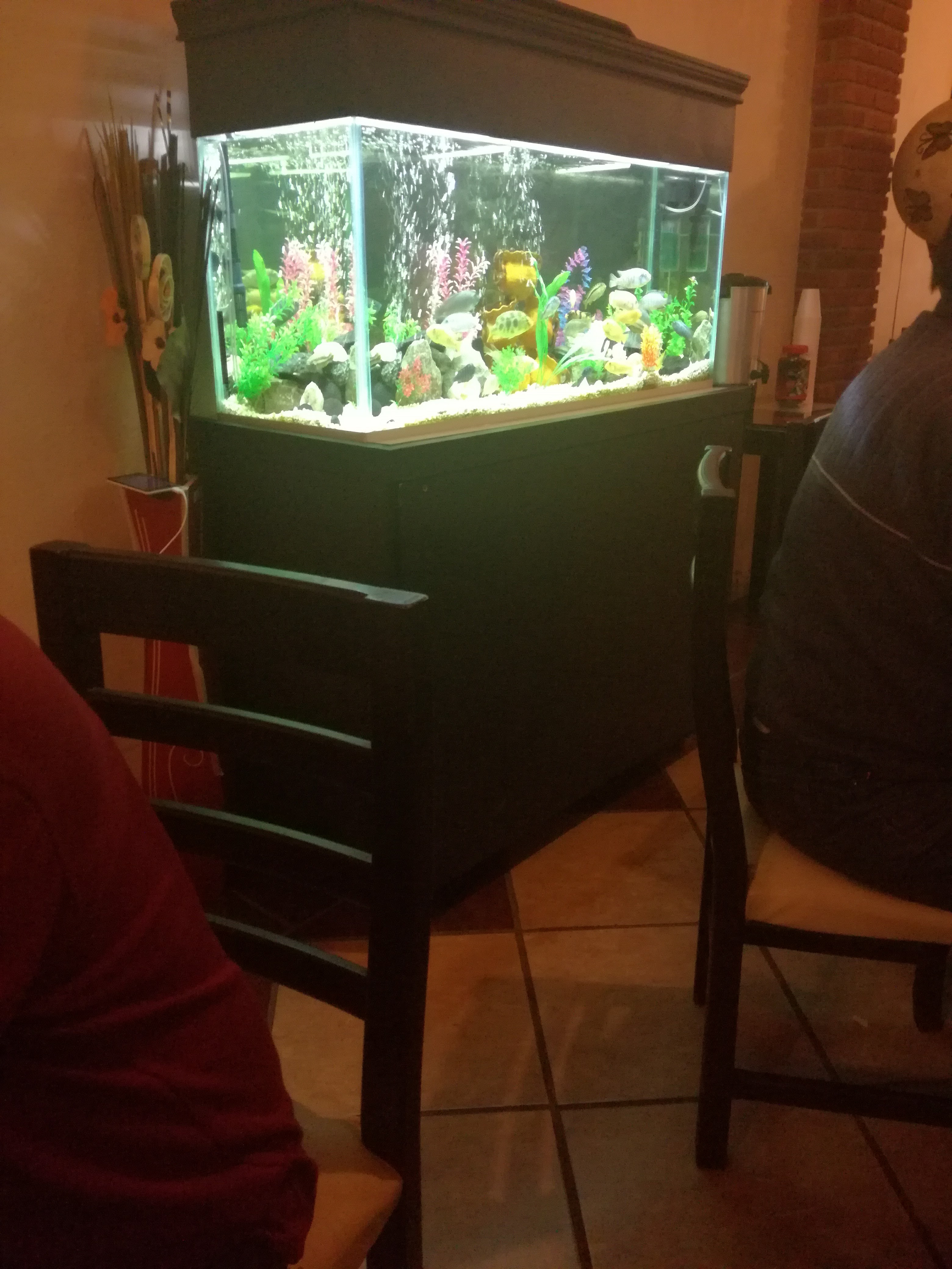 SALAMANDRA"CAFE-RESTAURANTE" image 5