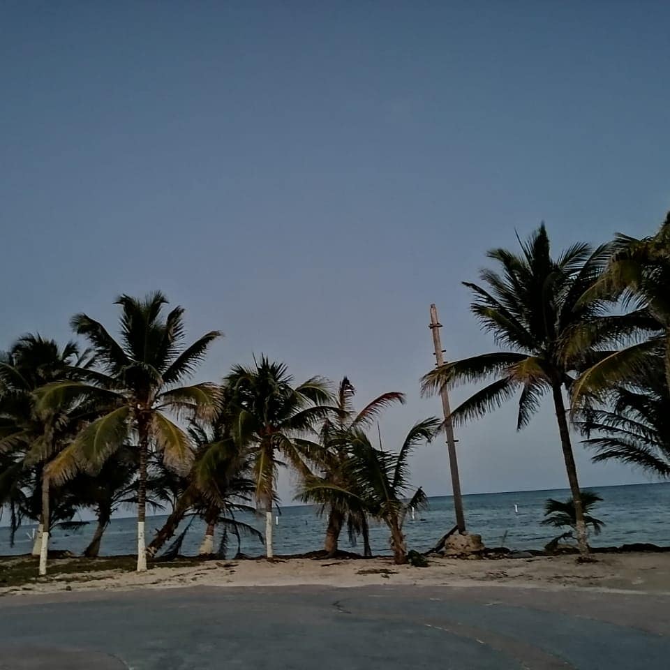 Restaurant Los Compadres image 7