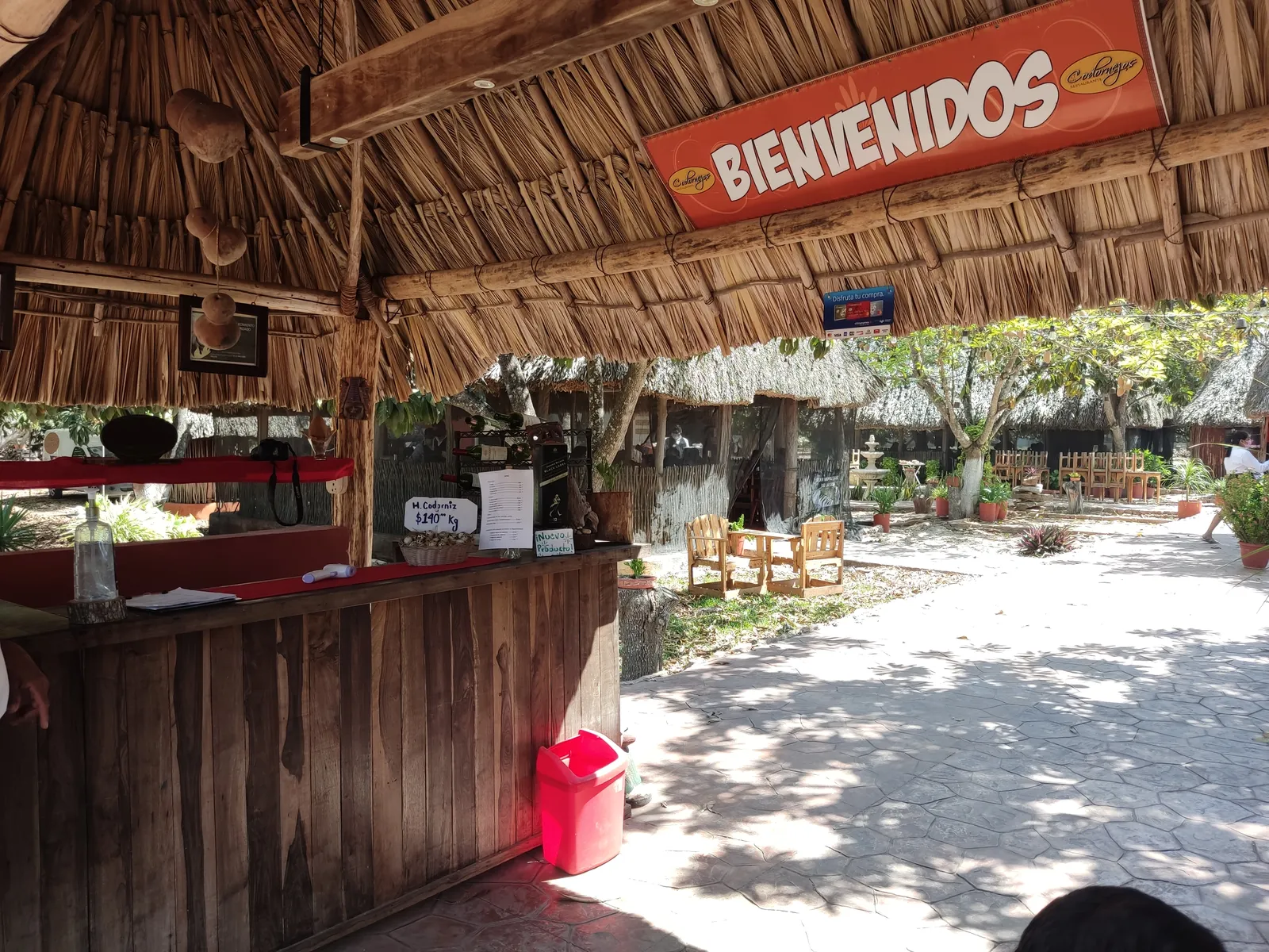 Codornejos image 1