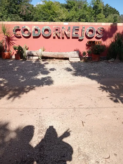 Codornejos image 4