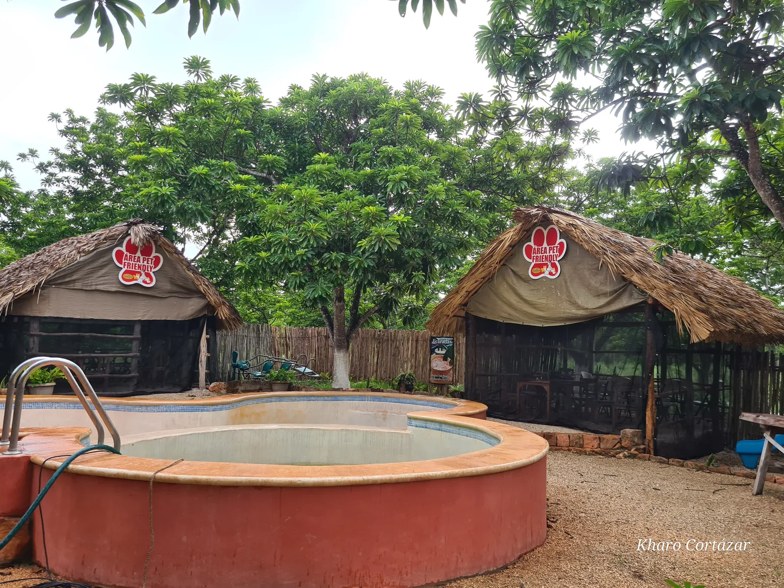 Codornejos image 10