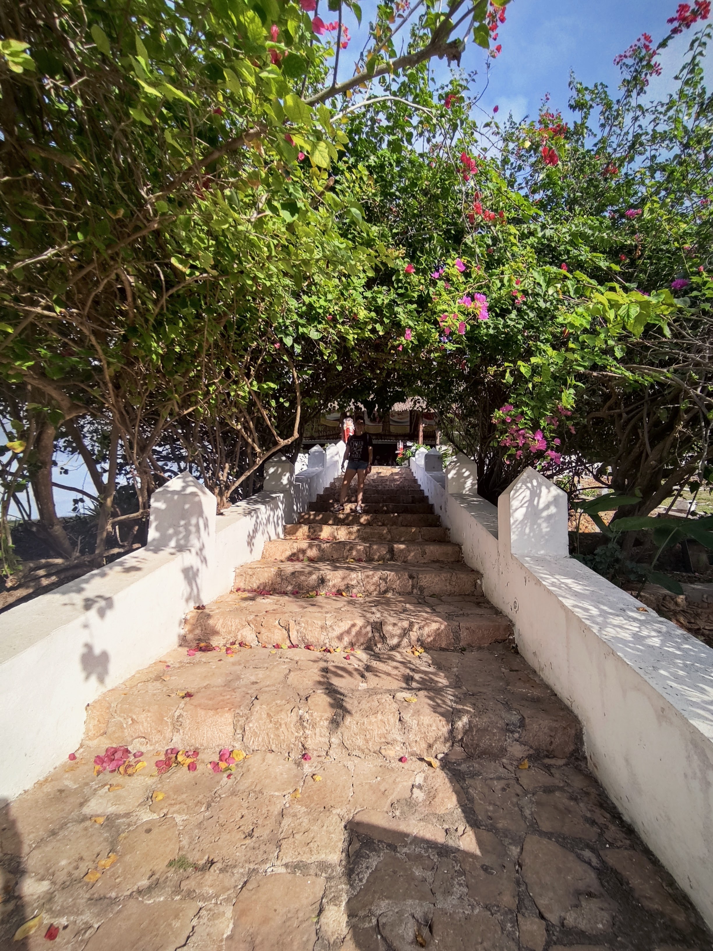 El Mirador de Ticul image 6