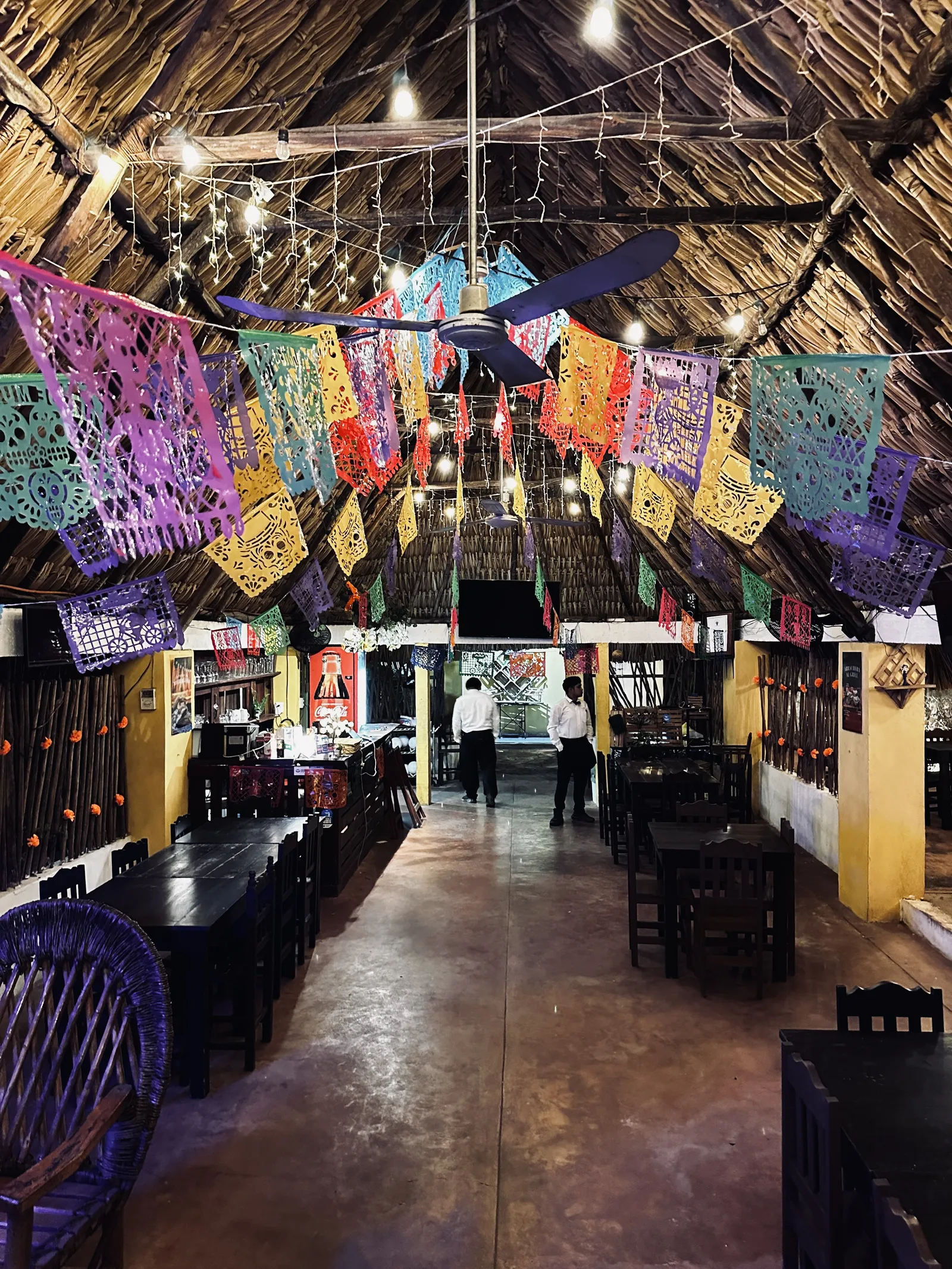 La Mestiza de Maní image 2