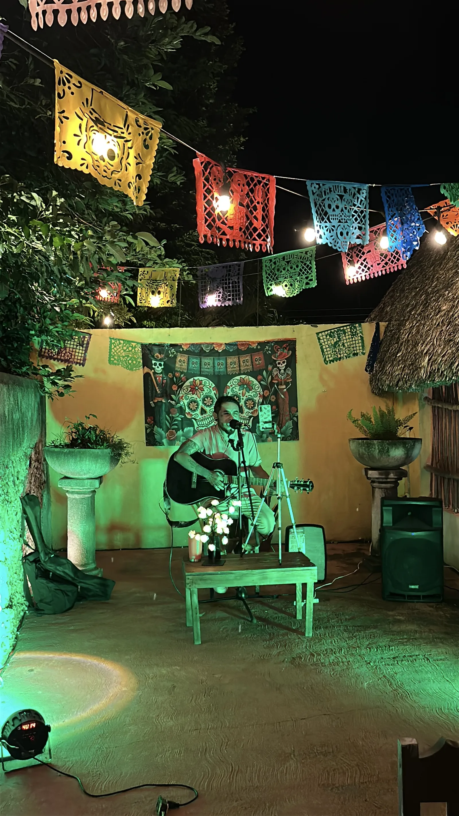La Mestiza de Maní image 6