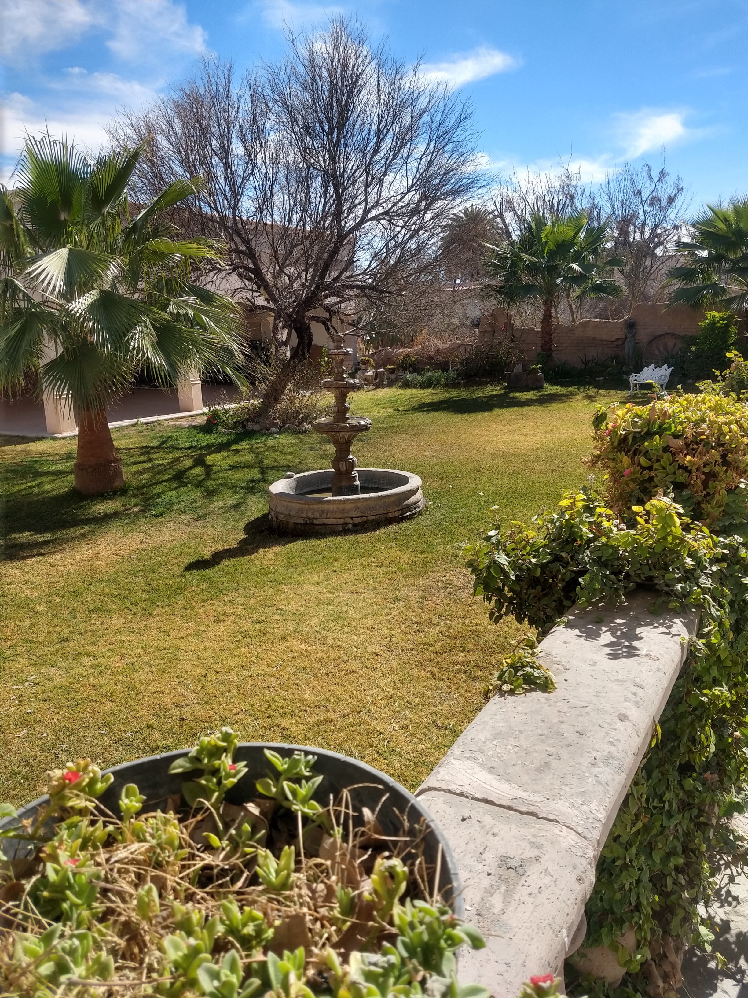 Mahan Bistro image 7