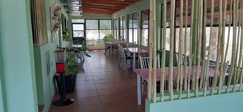 El Mirador de Nato Restaurant image 1
