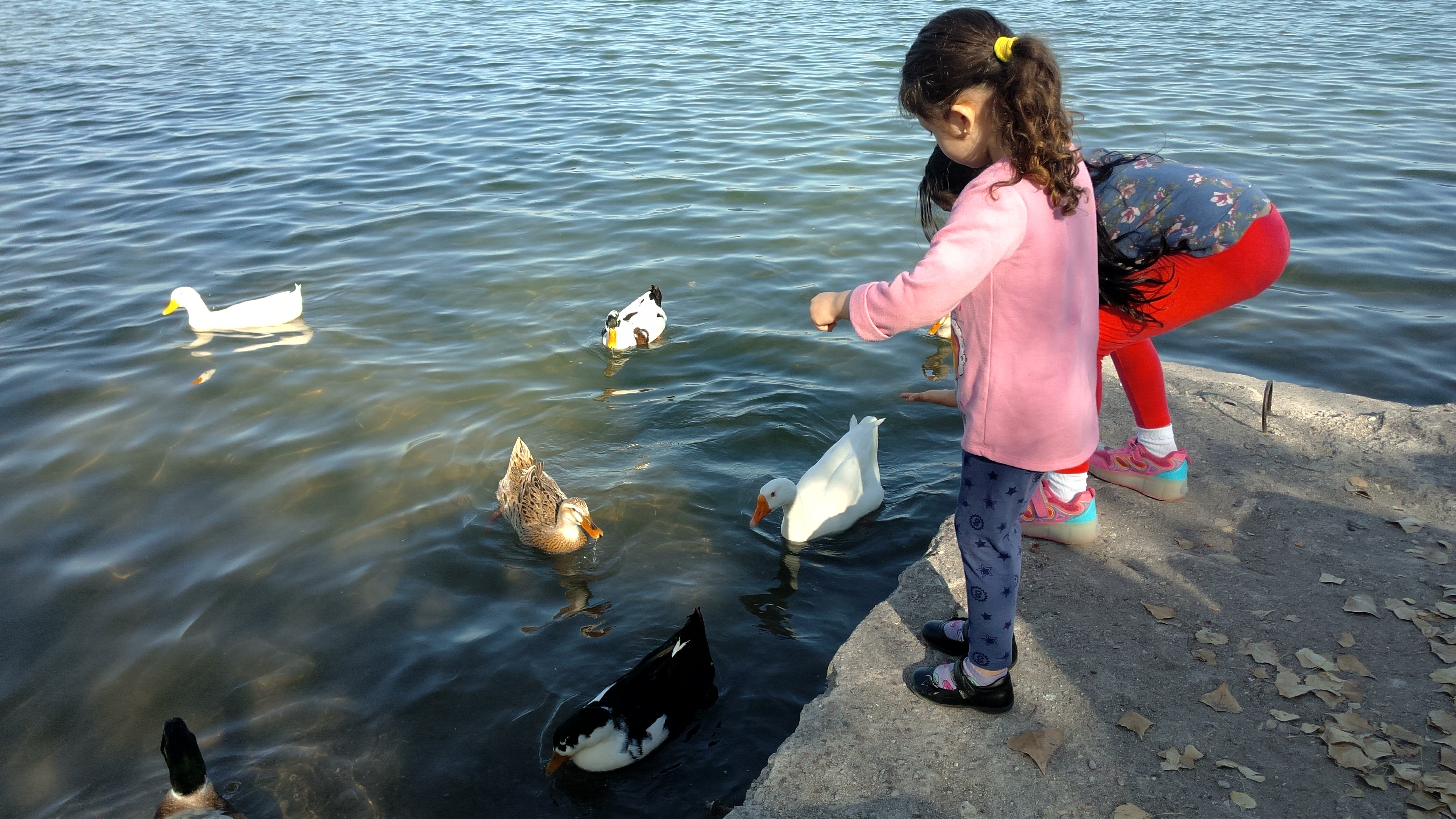 Restaurant Eskilandia image 8