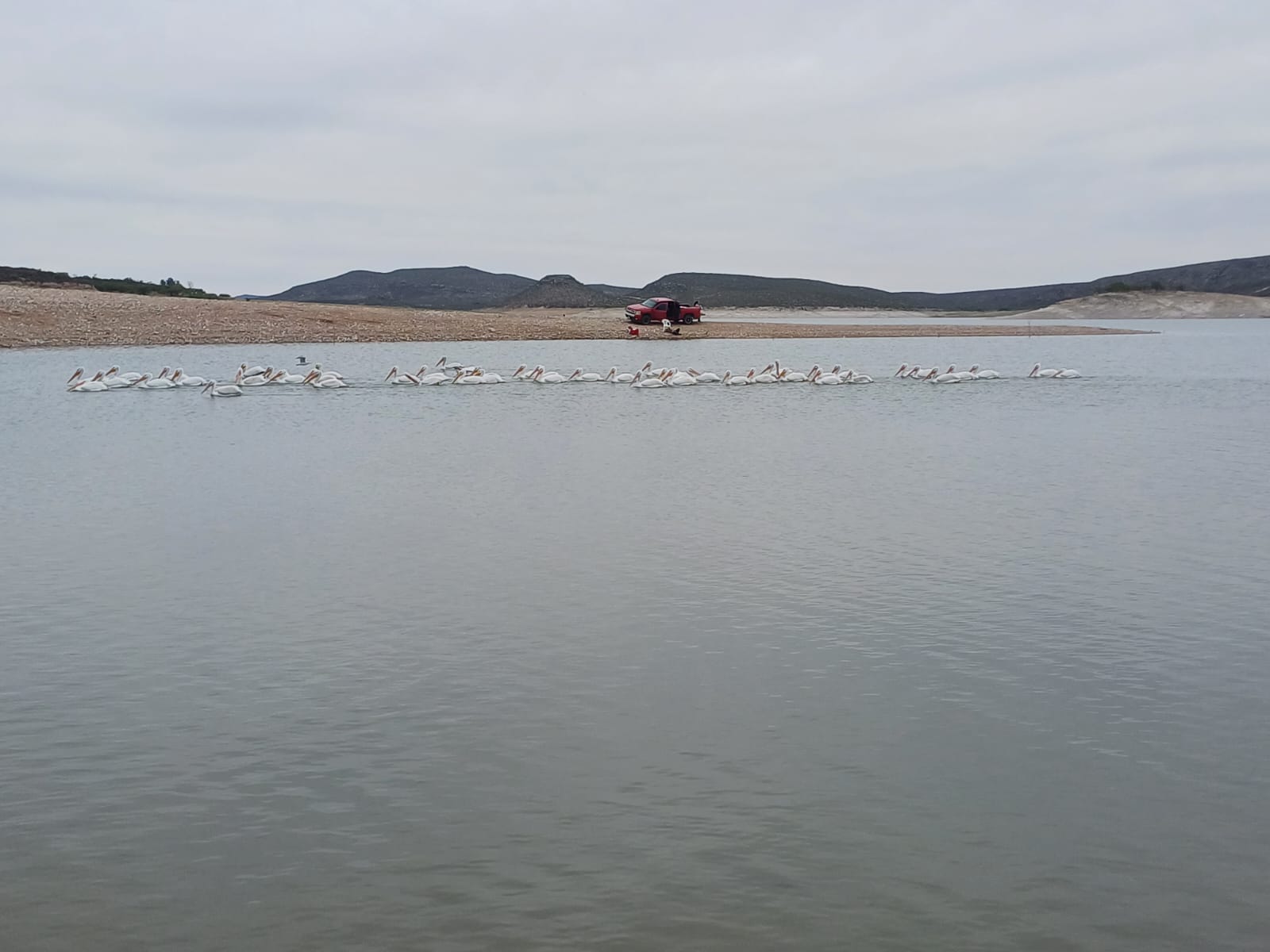 Del Pescador image 3