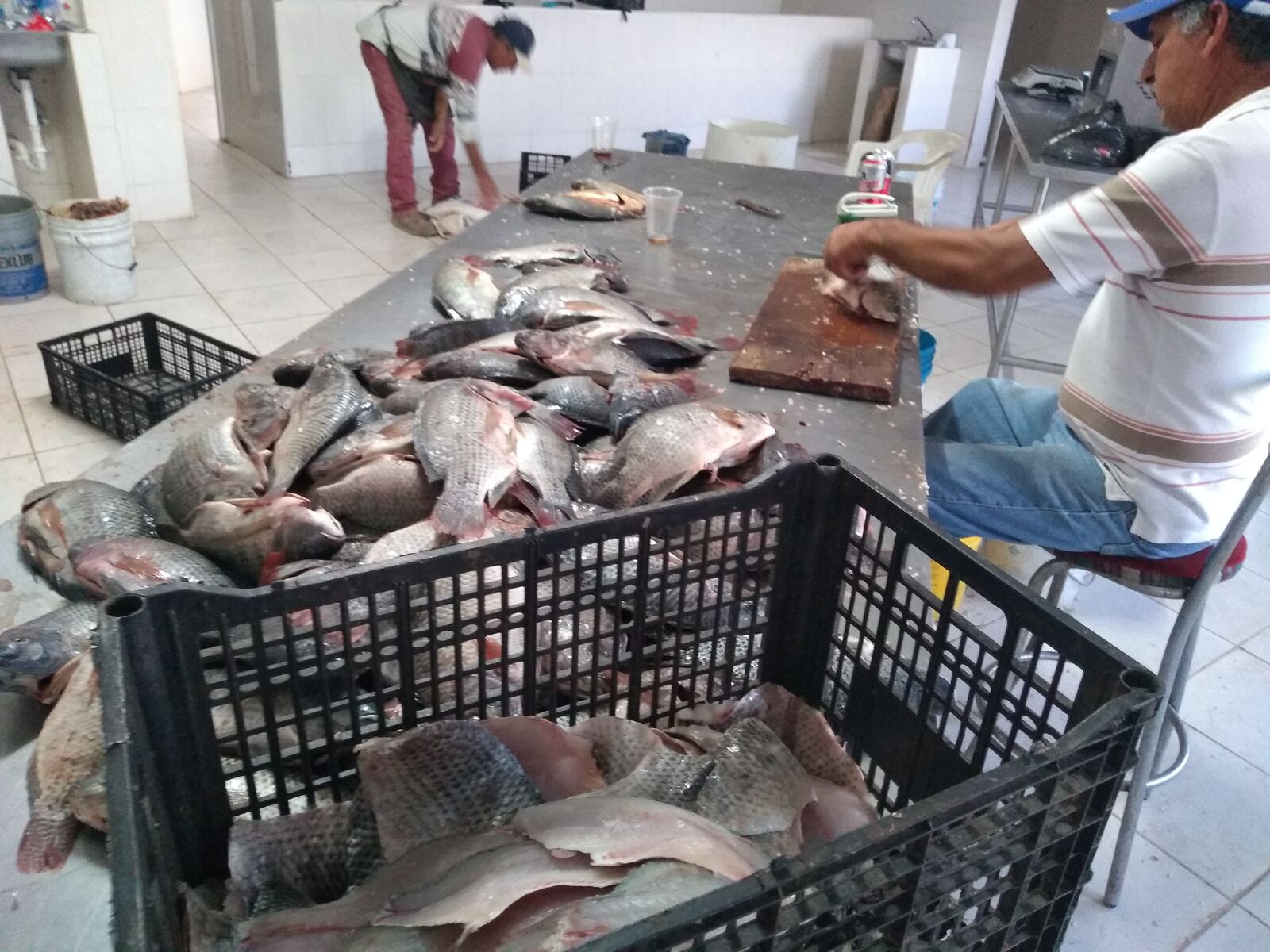 Del Pescador image 9