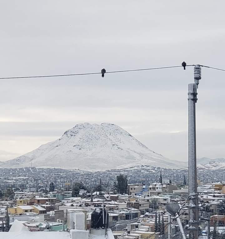 BURRITOS CHIHUAHUA image 8