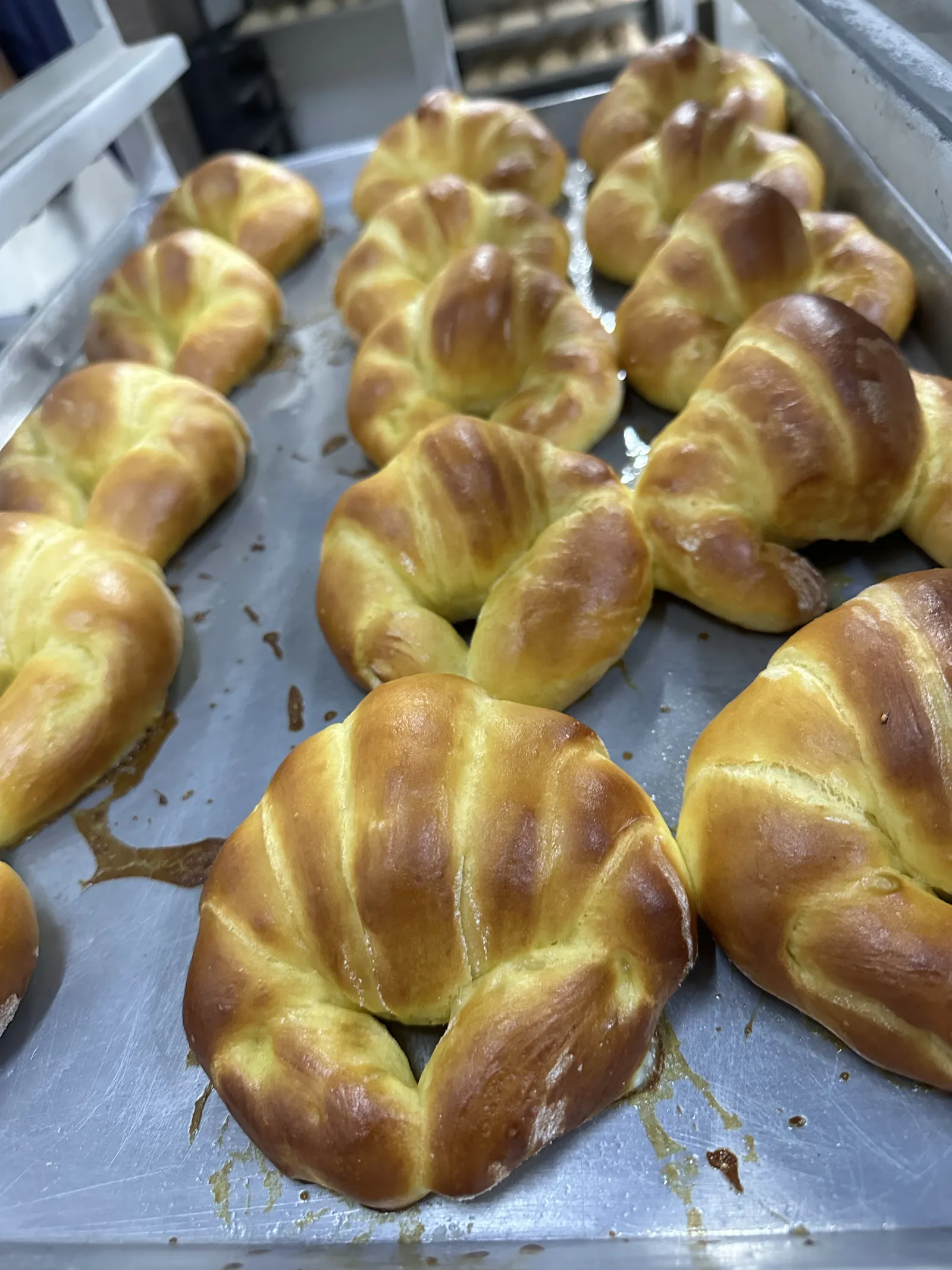 ORIÓN pizzería y pastelería. image 10