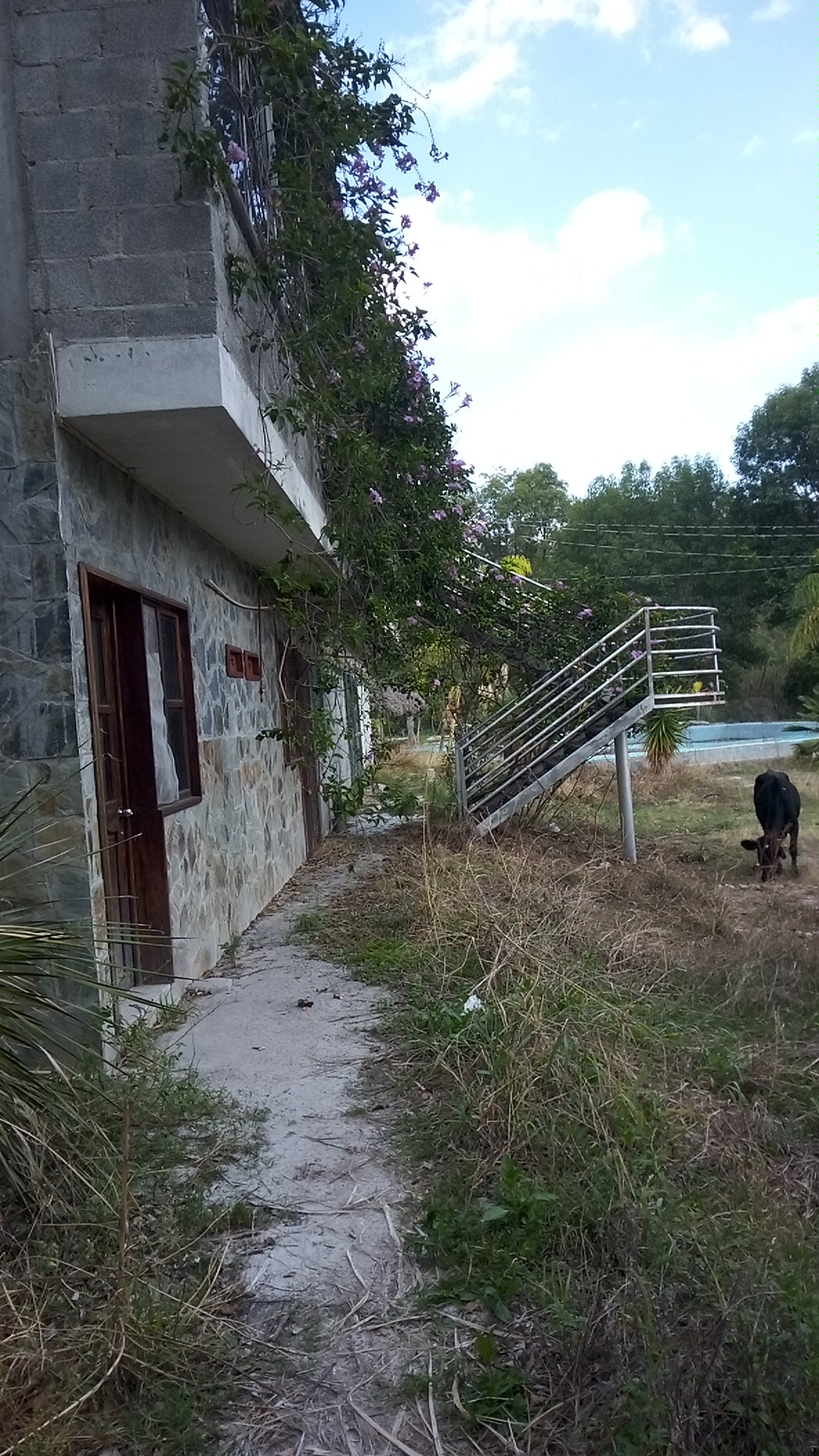 Corazón del Mar image 5