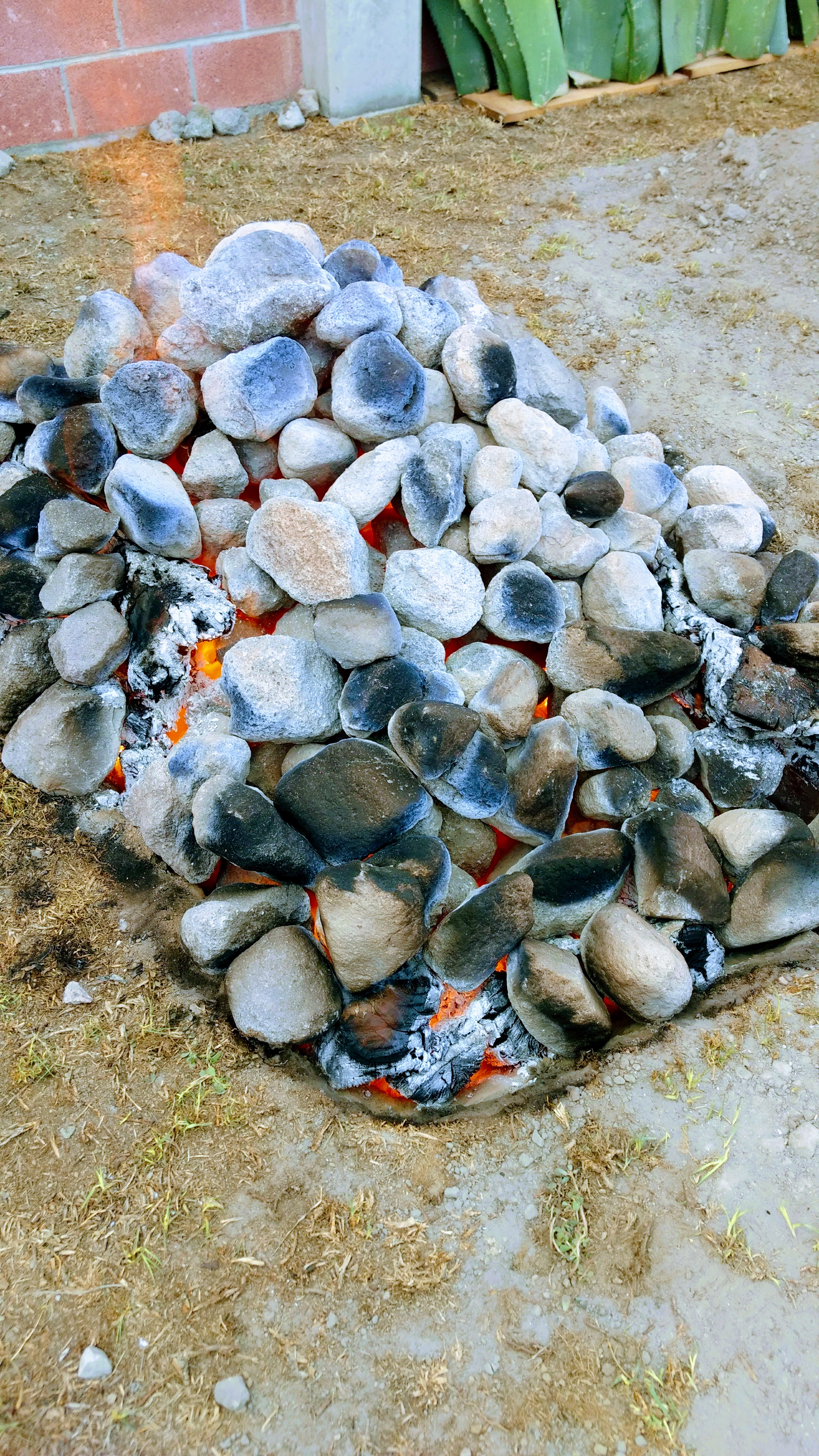 BARBACOA MARYLU image 5