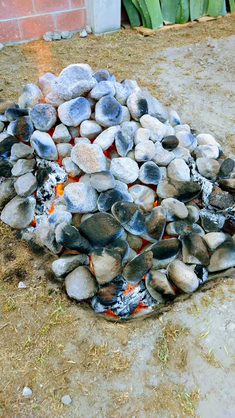 BARBACOA MARYLU image 5
