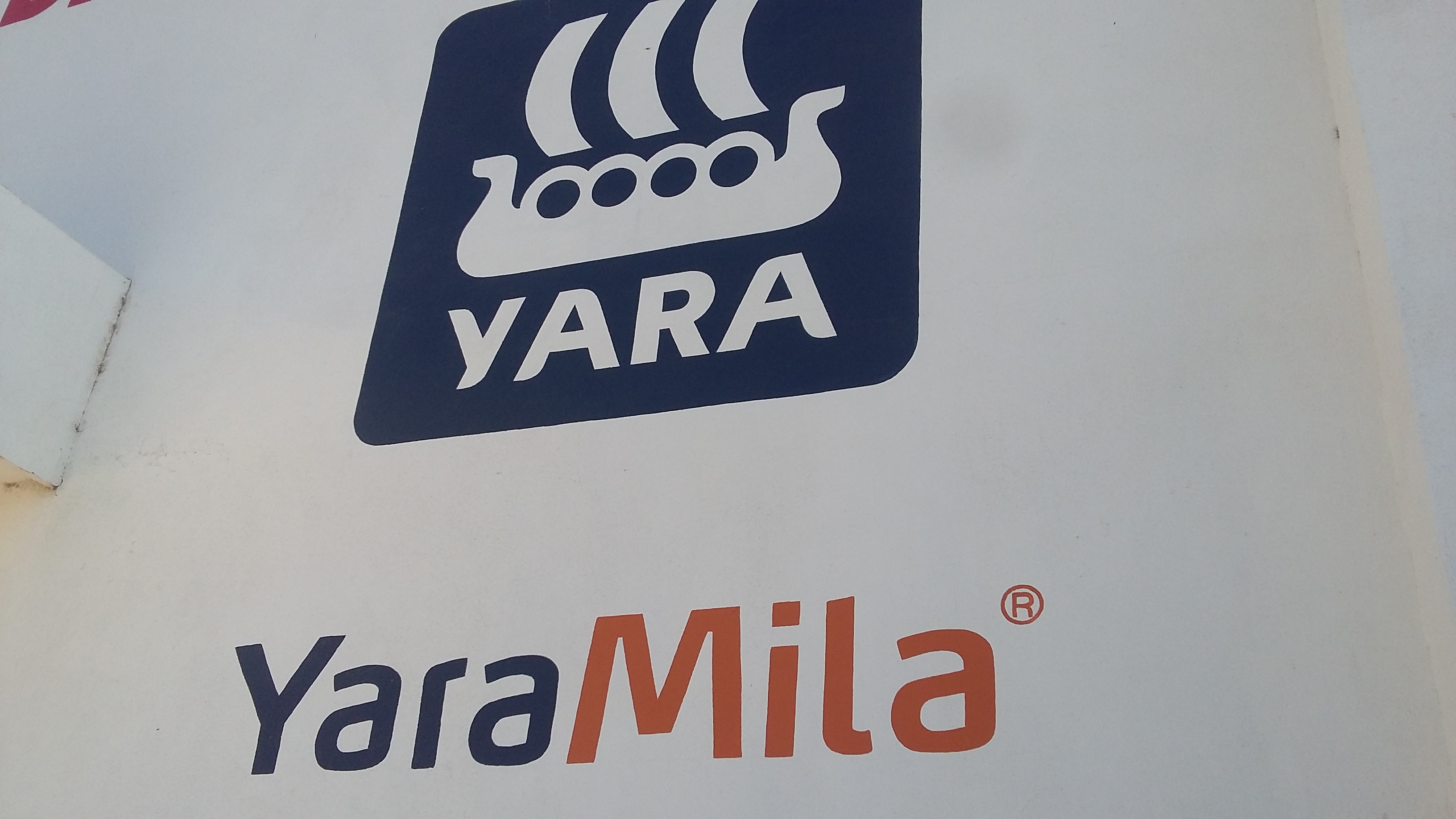 Mariscos El Pariente image 3