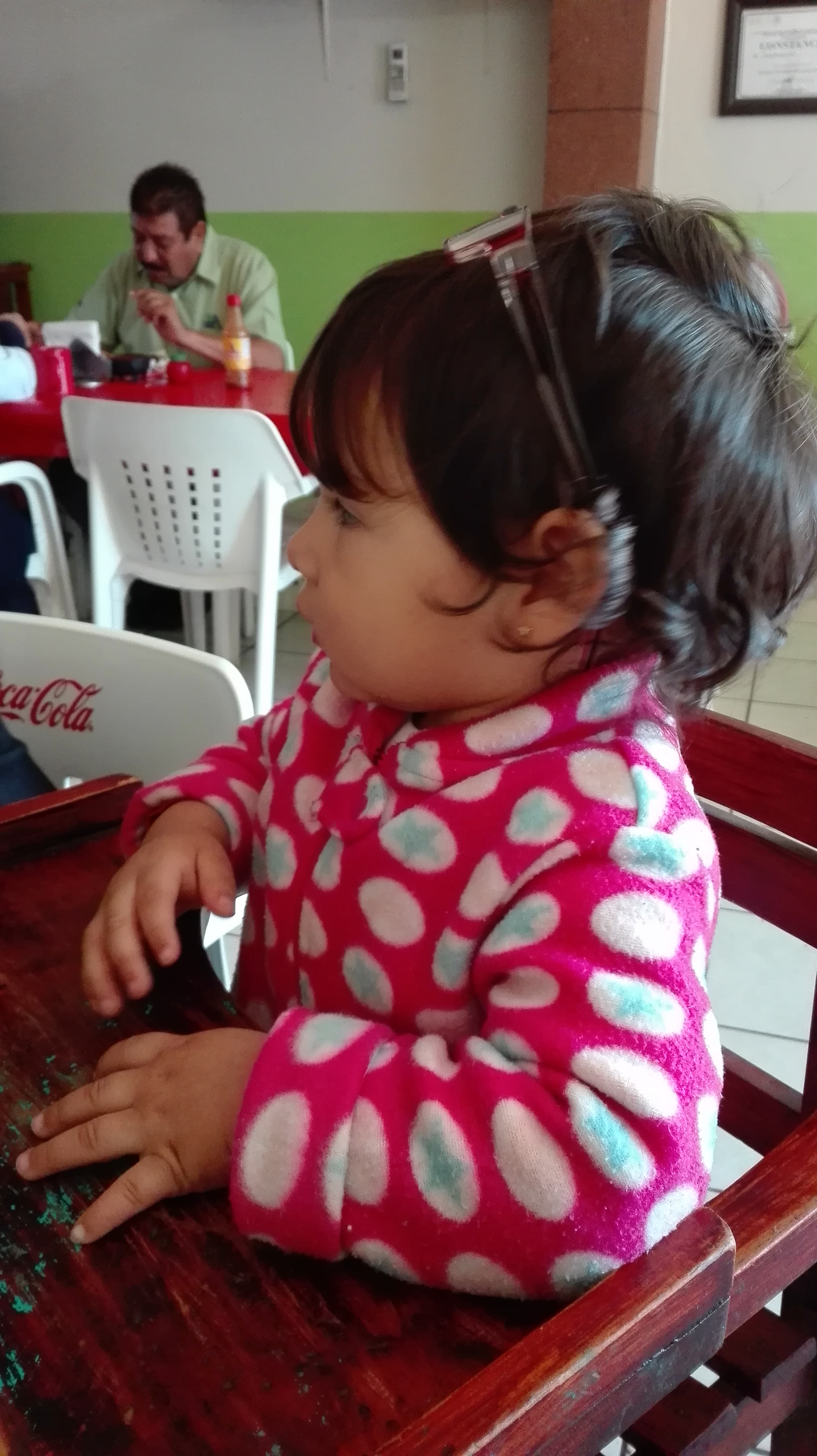 Pollos Will La Cruz image 10