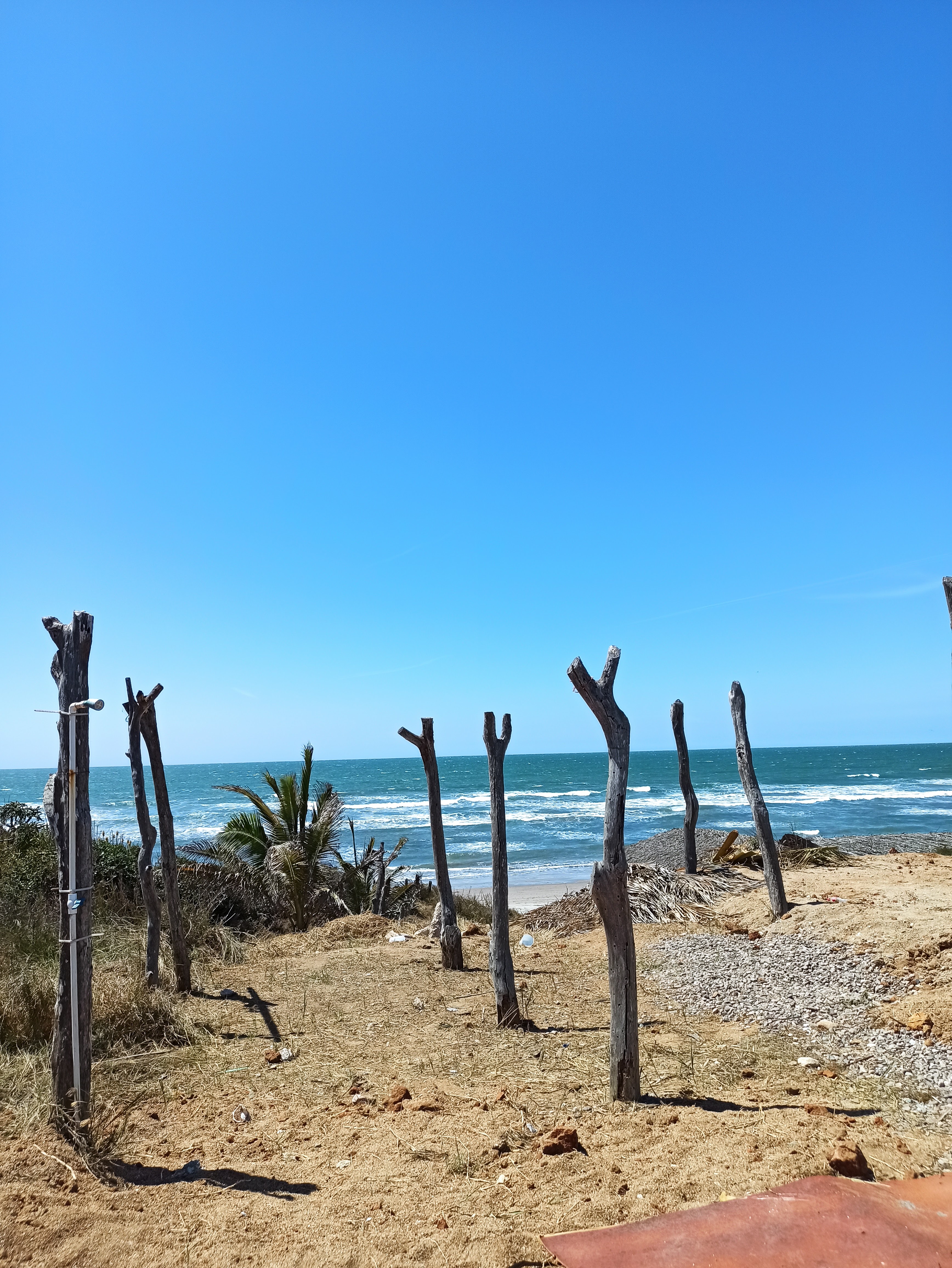 La Celestina image 6