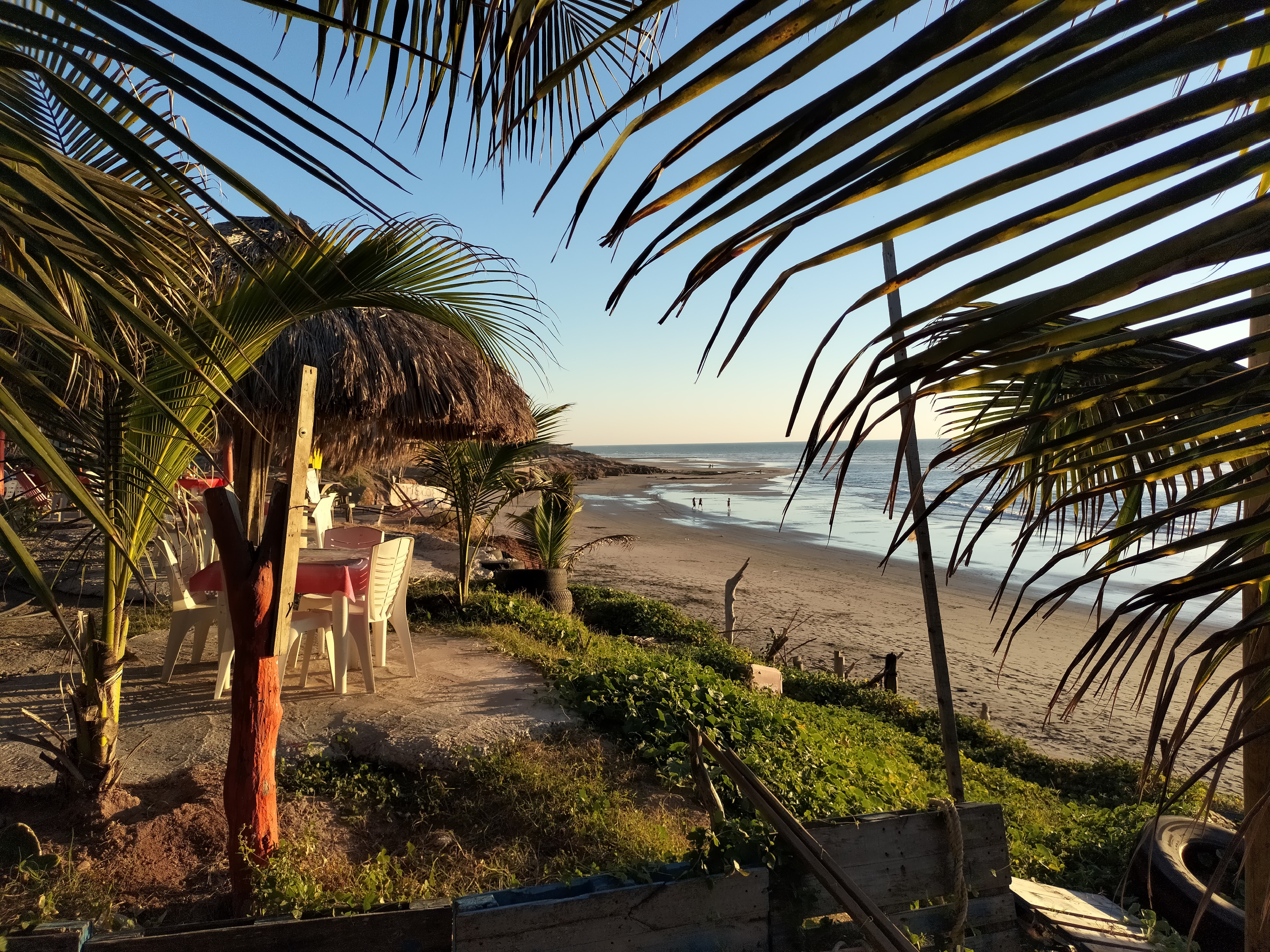 Mariscos el chapo image 4