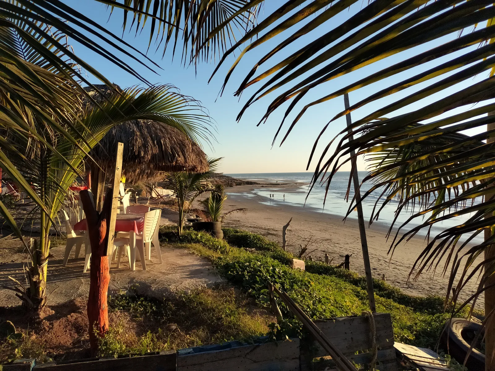 Mariscos el chapo image 4