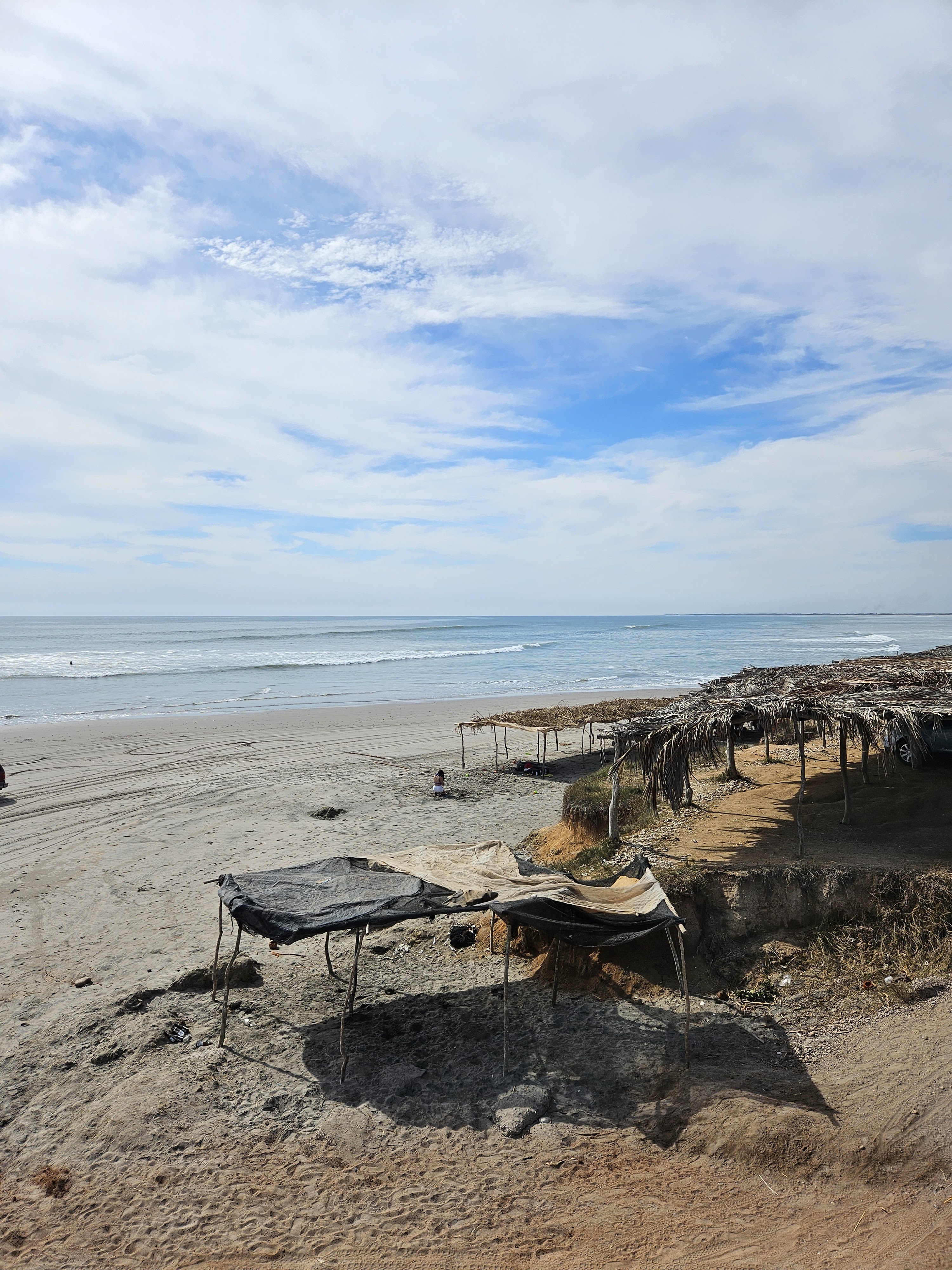 Mariscos el chapo image 6