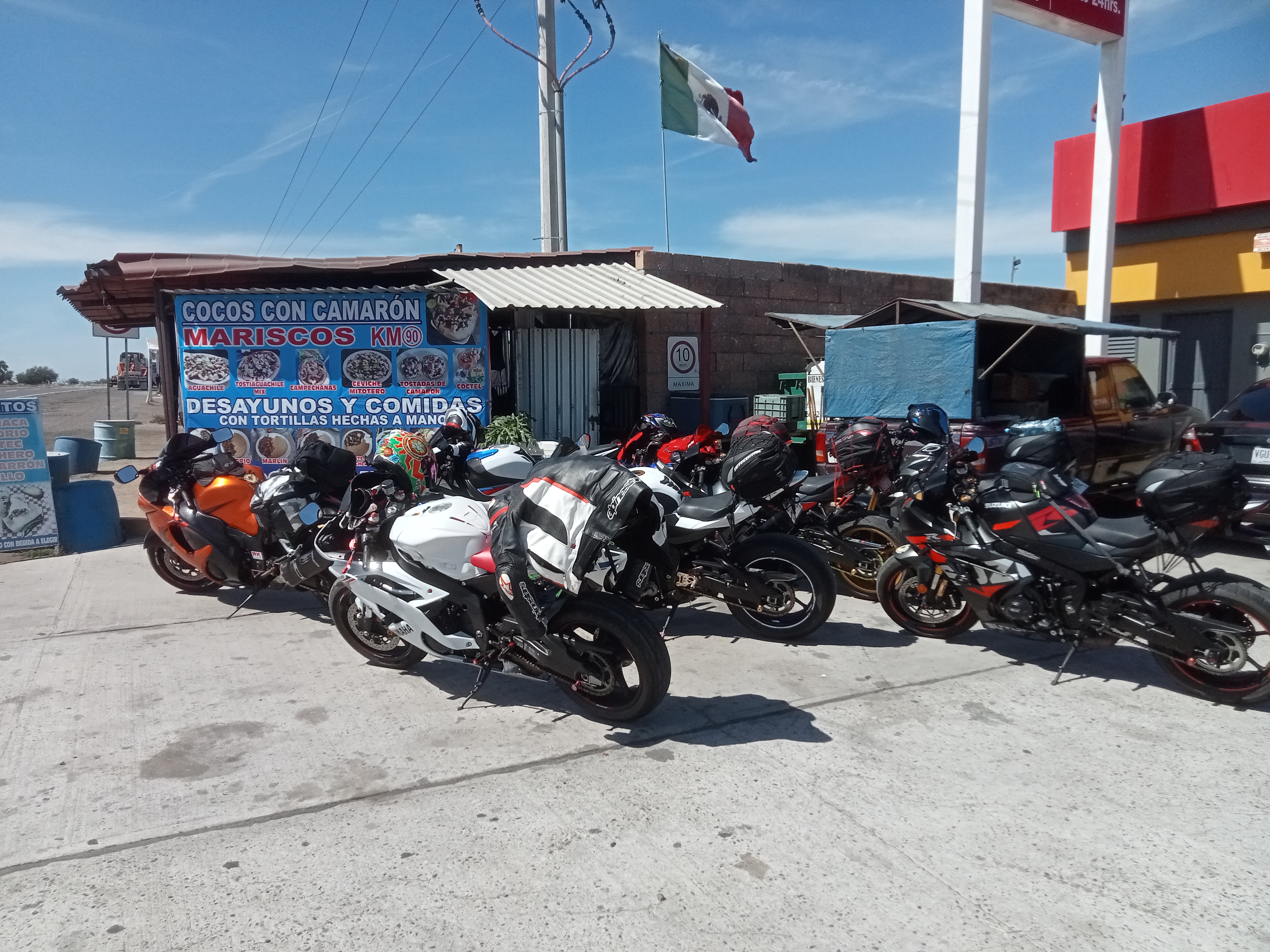 Cocos "El Güero" image 4