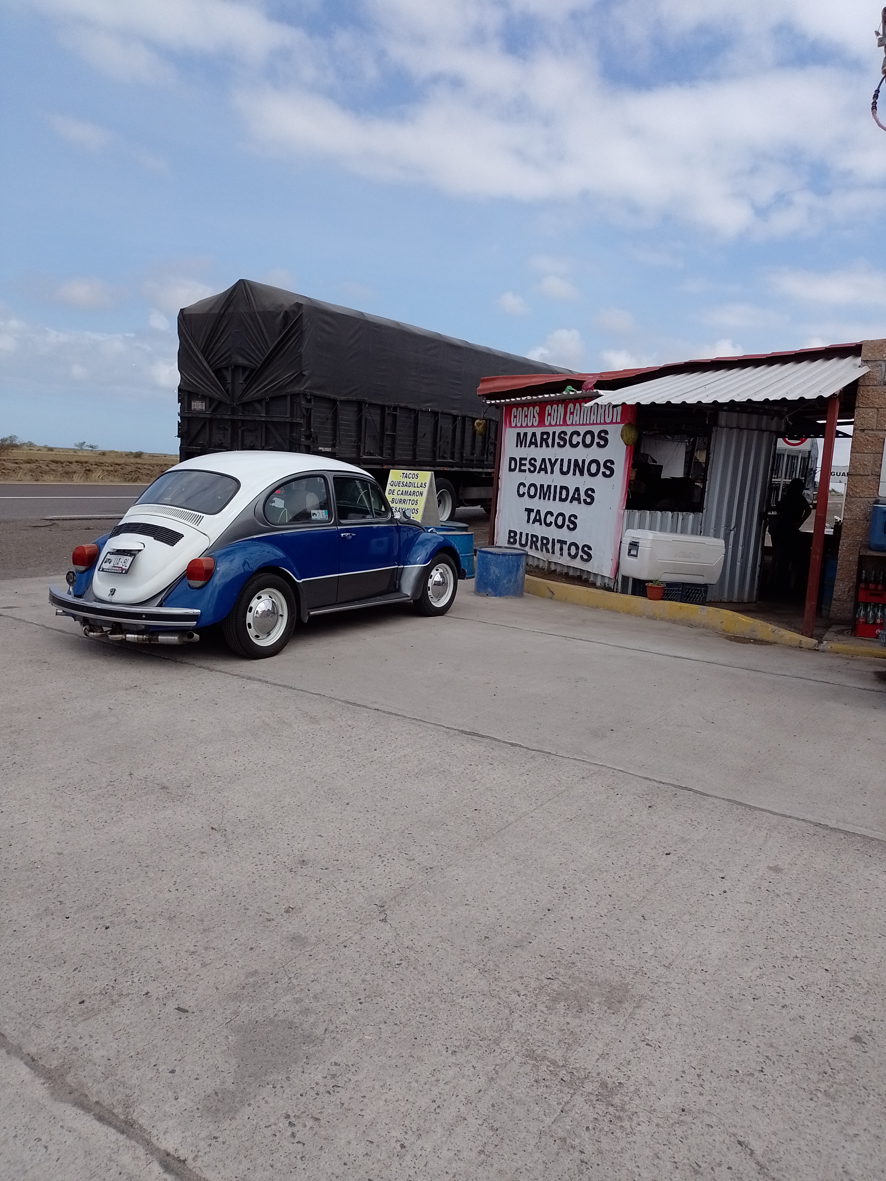 Cocos "El Güero" image 9