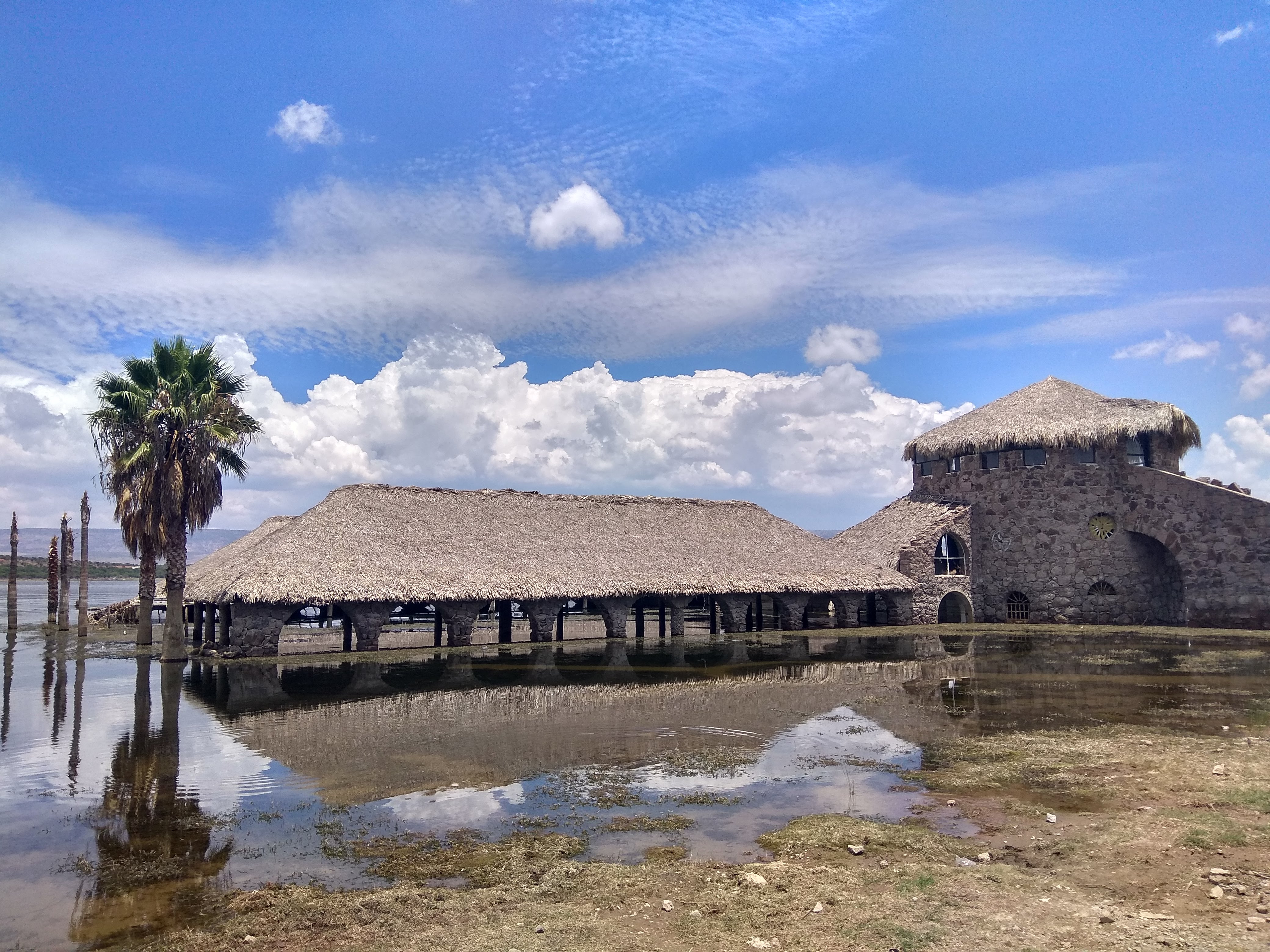 Restaurant-Bar Playas 2 image 9