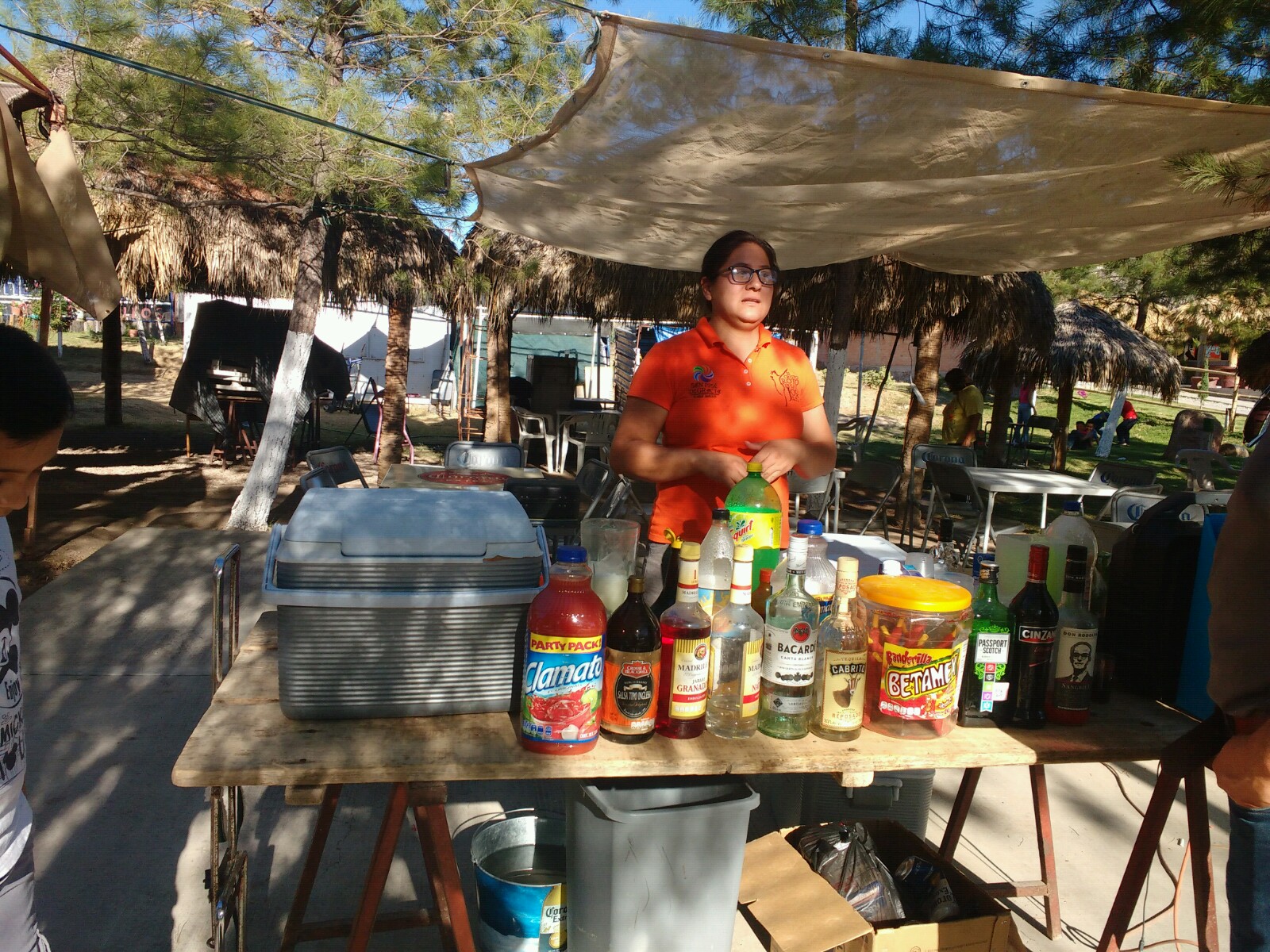 PALAPA LA RANITA image 5