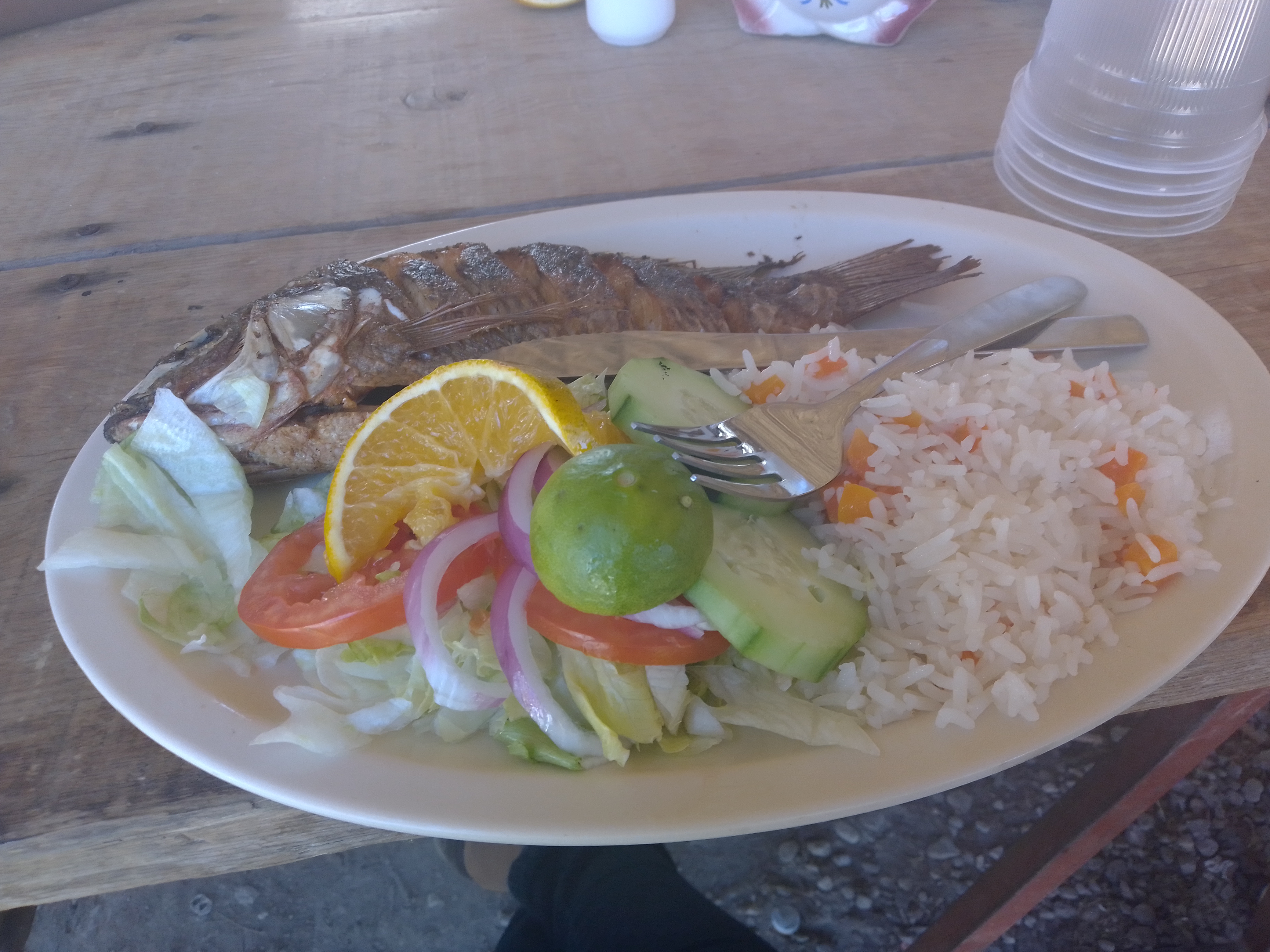 PALAPA LA RANITA image 6