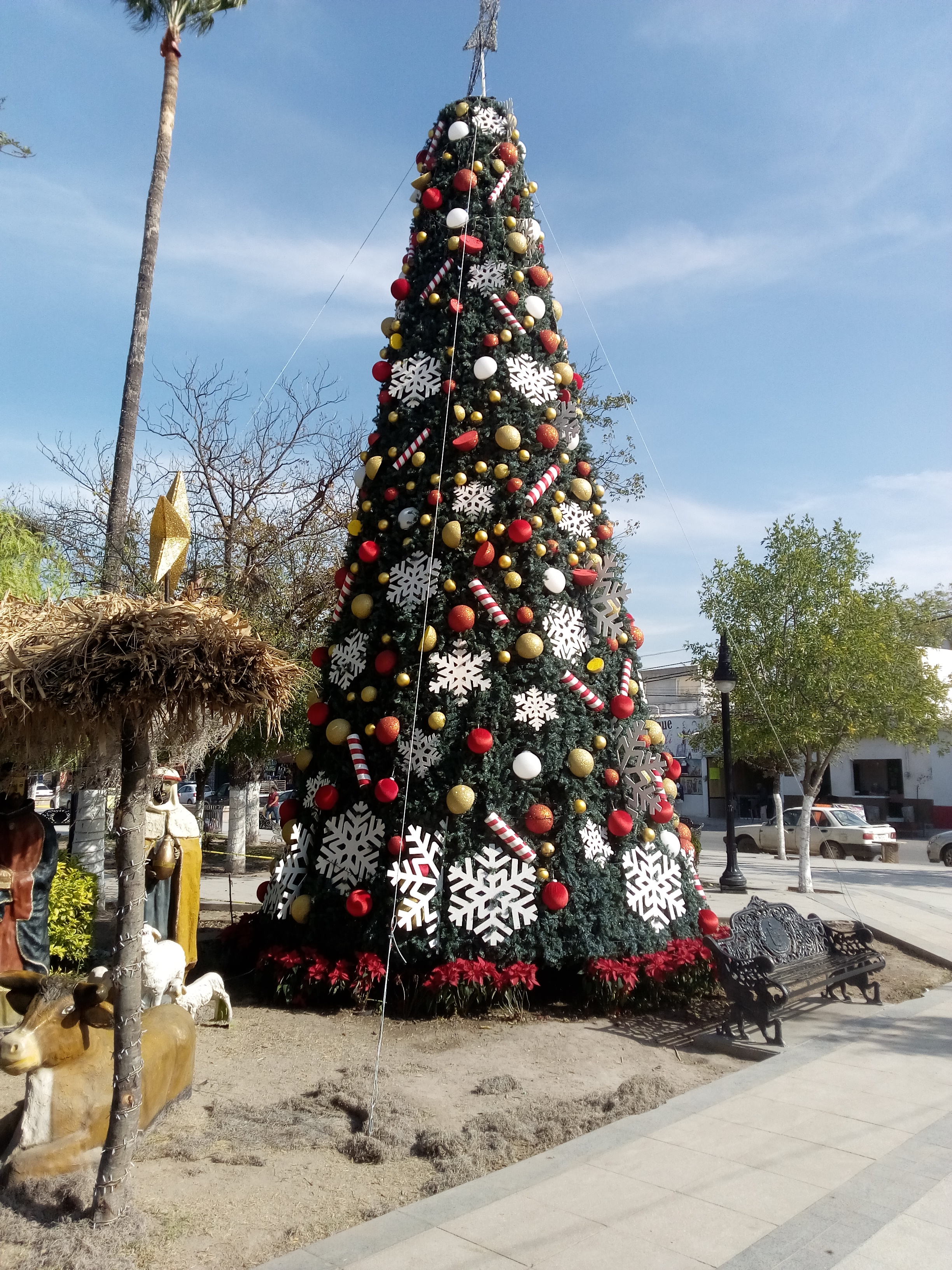 Mariscos la Perla 2 image 6