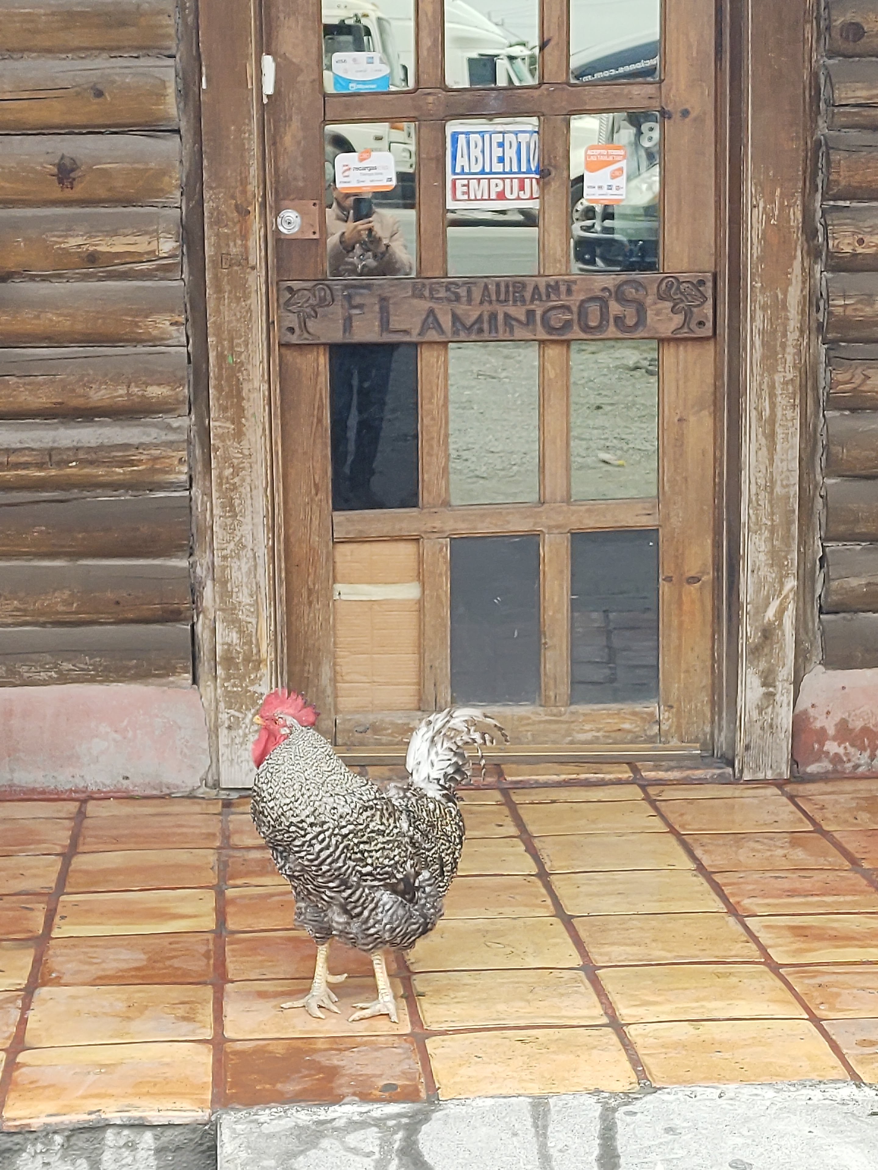 Restaurant La Cabañita Cienega de Flores image 2