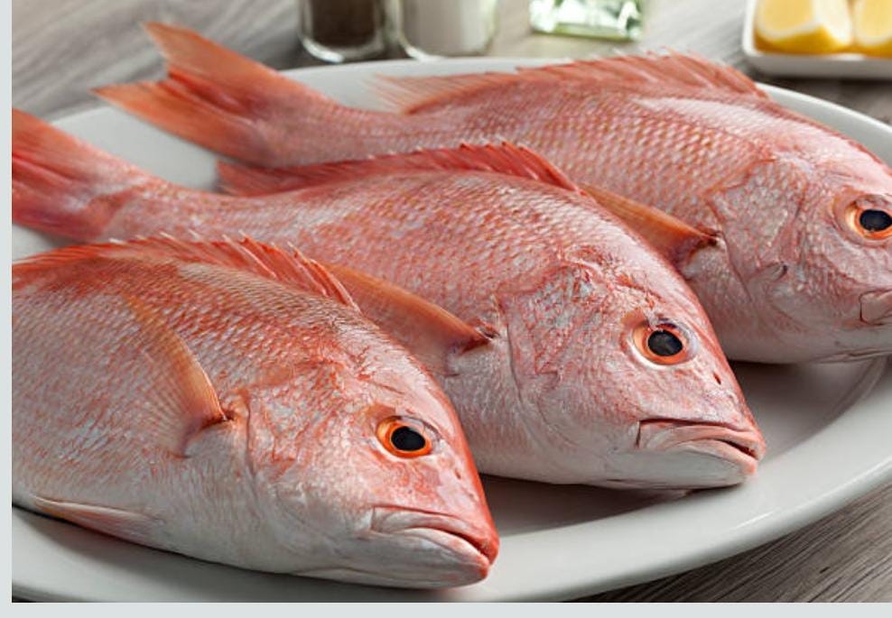 Pescados y mariscos "HERNANDEZ " image 1