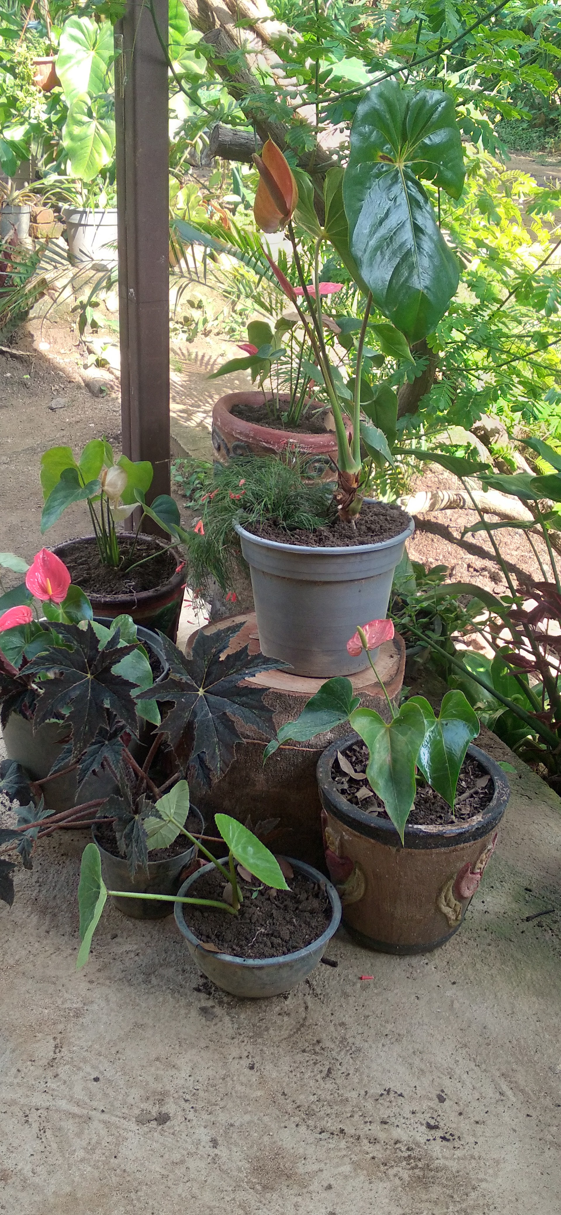 Comedor La More image 8