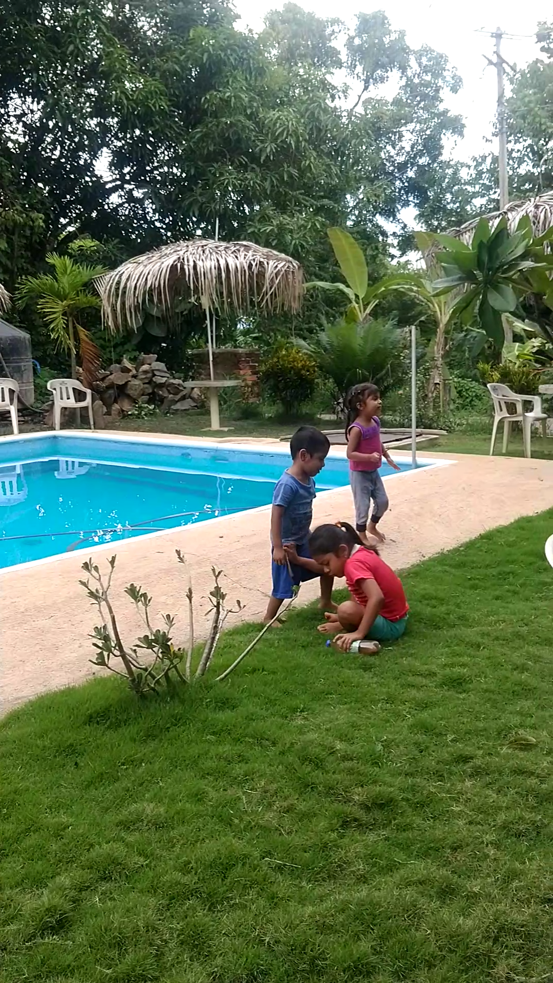 Restaurant Bar y Alberca "Los Mangos" image 2