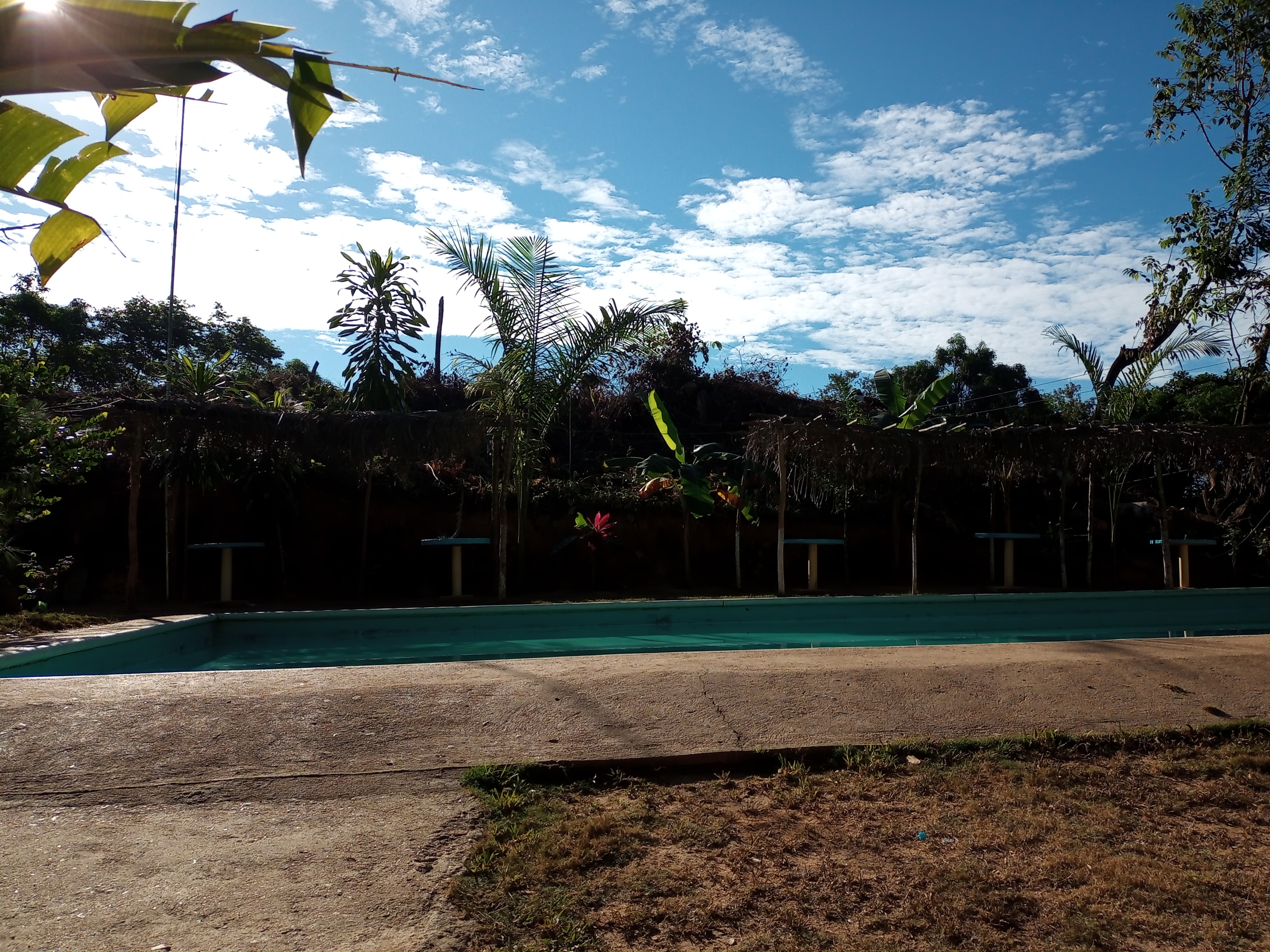 Restaurant Bar y Alberca "Los Mangos" image 3