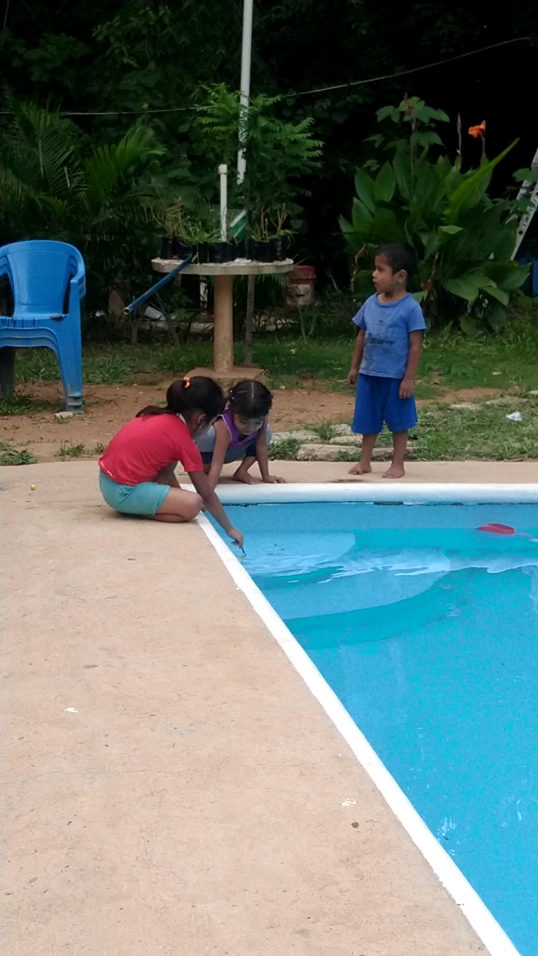 Restaurant Bar y Alberca "Los Mangos" image 4