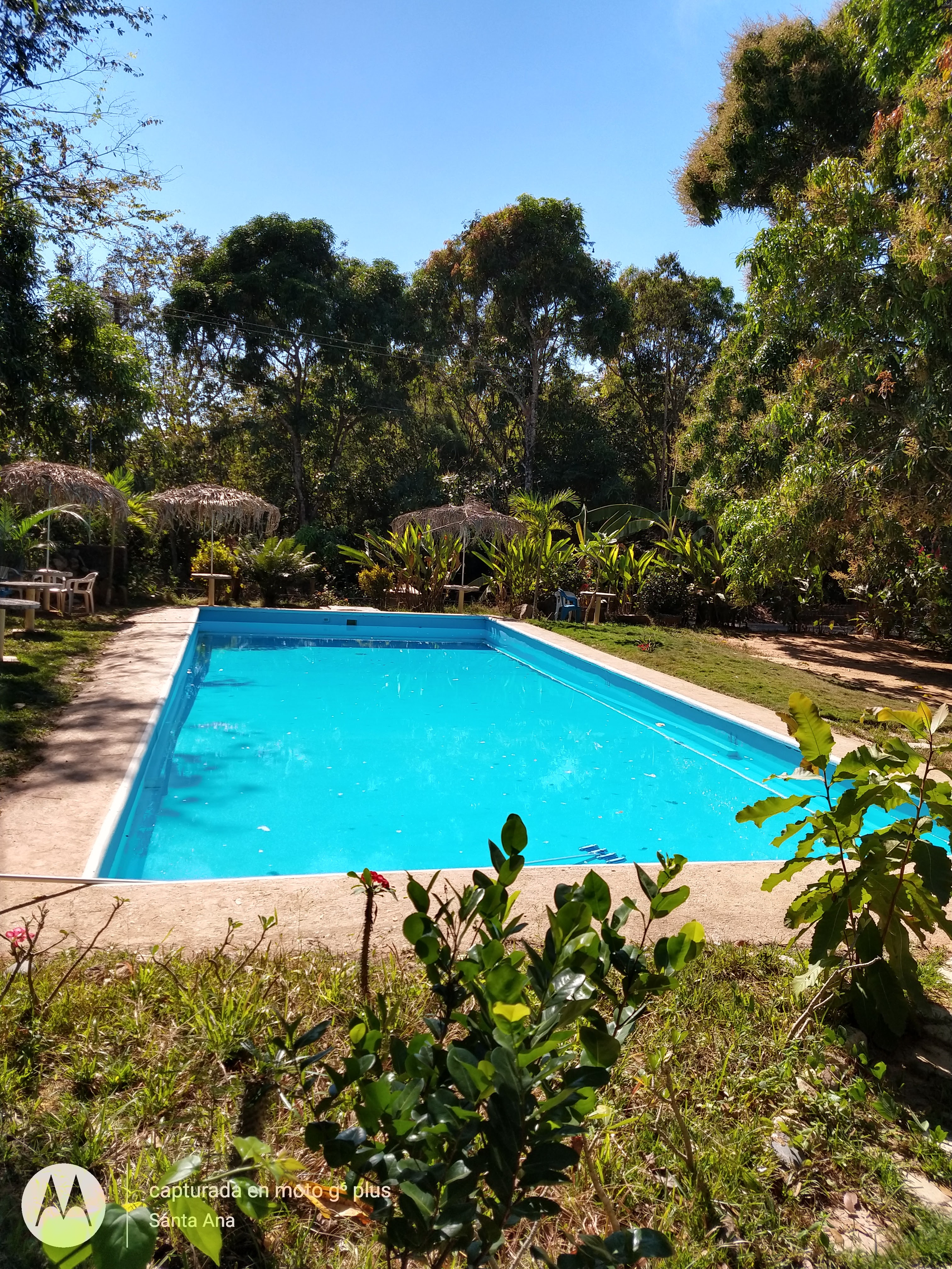 Restaurant Bar y Alberca "Los Mangos" image 8