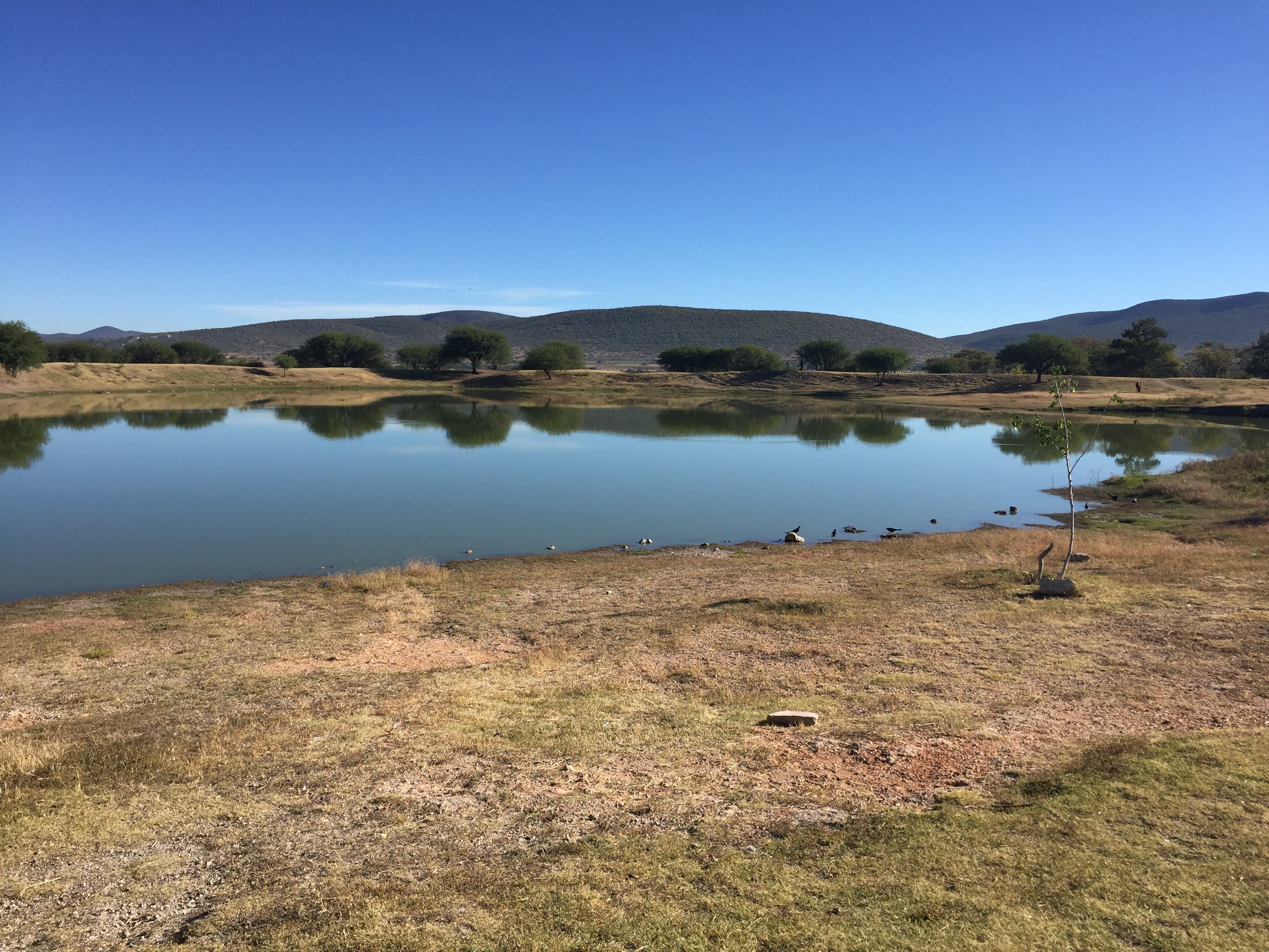 Jackee's Pizza image 5