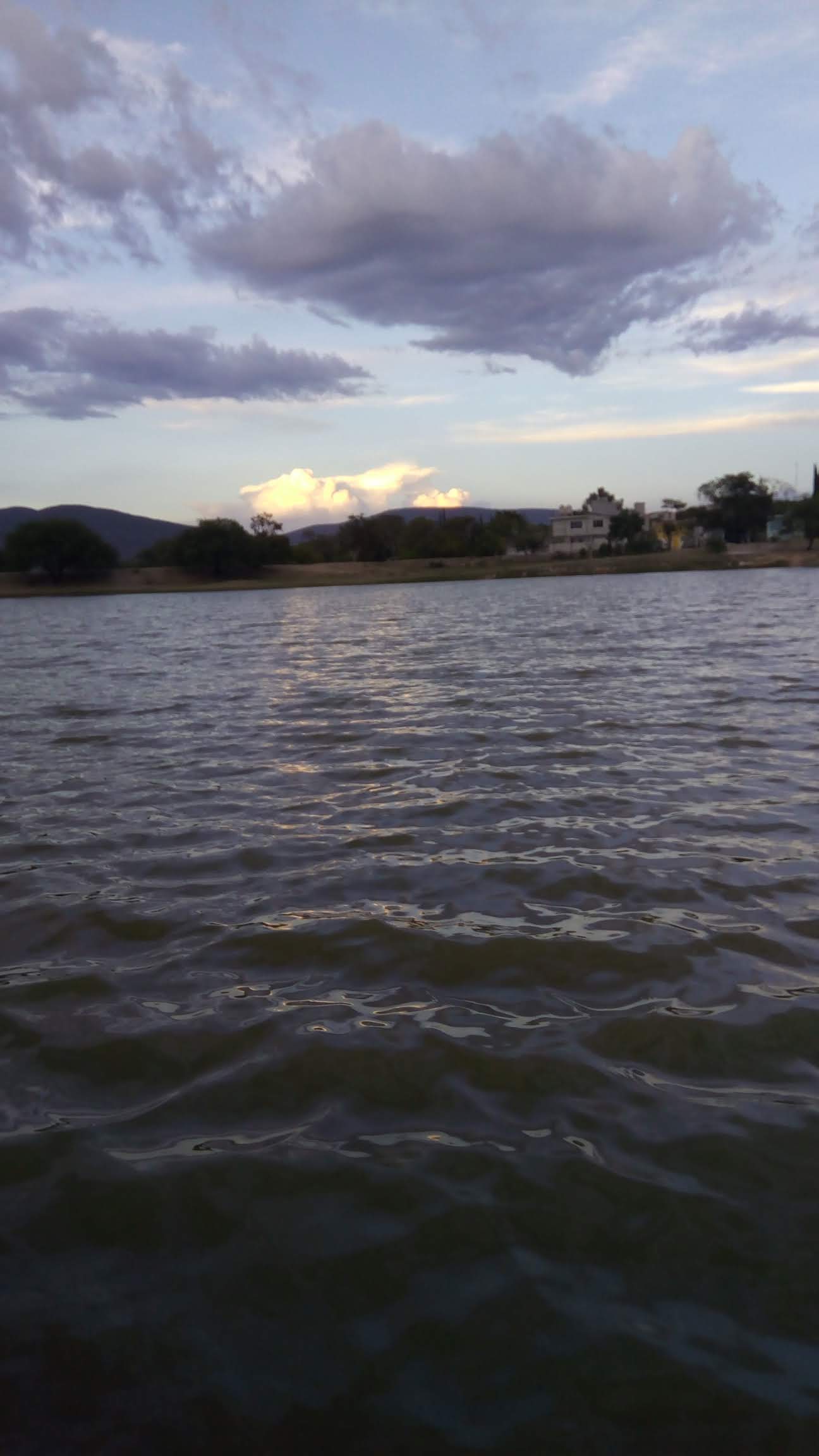 Jackee's Pizza image 7