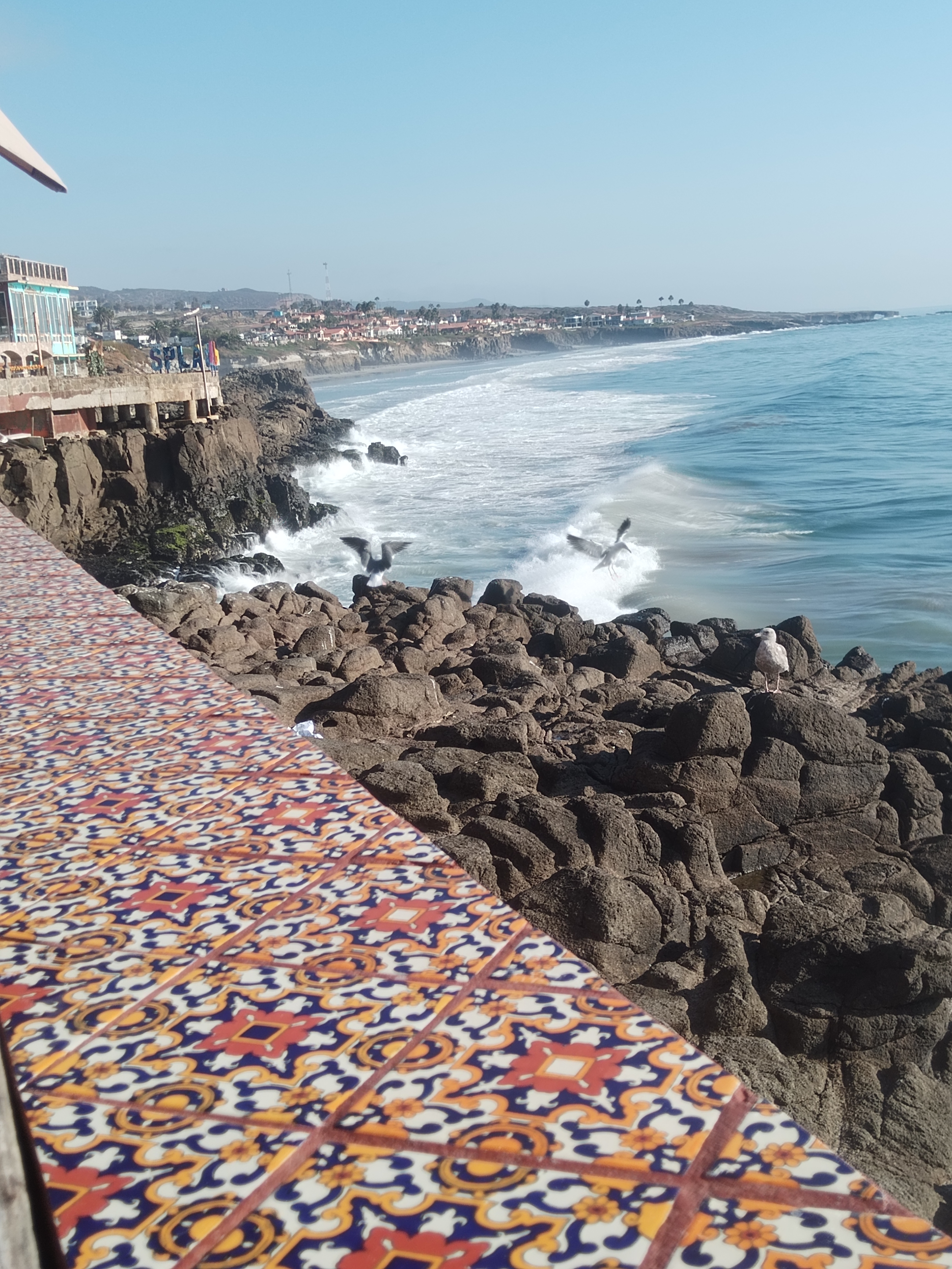 Encanto Restaurante image 5