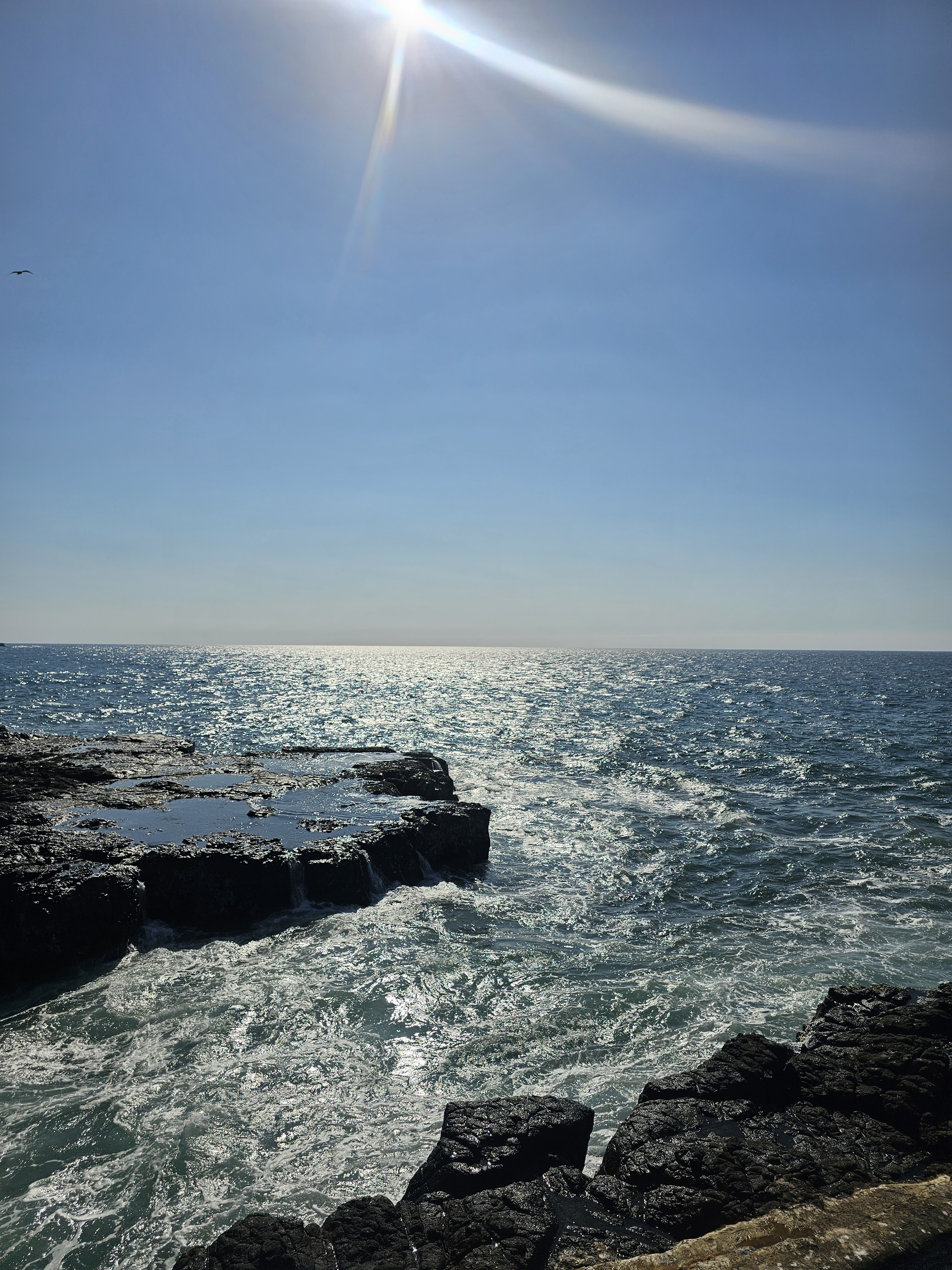 Encanto Restaurante image 7