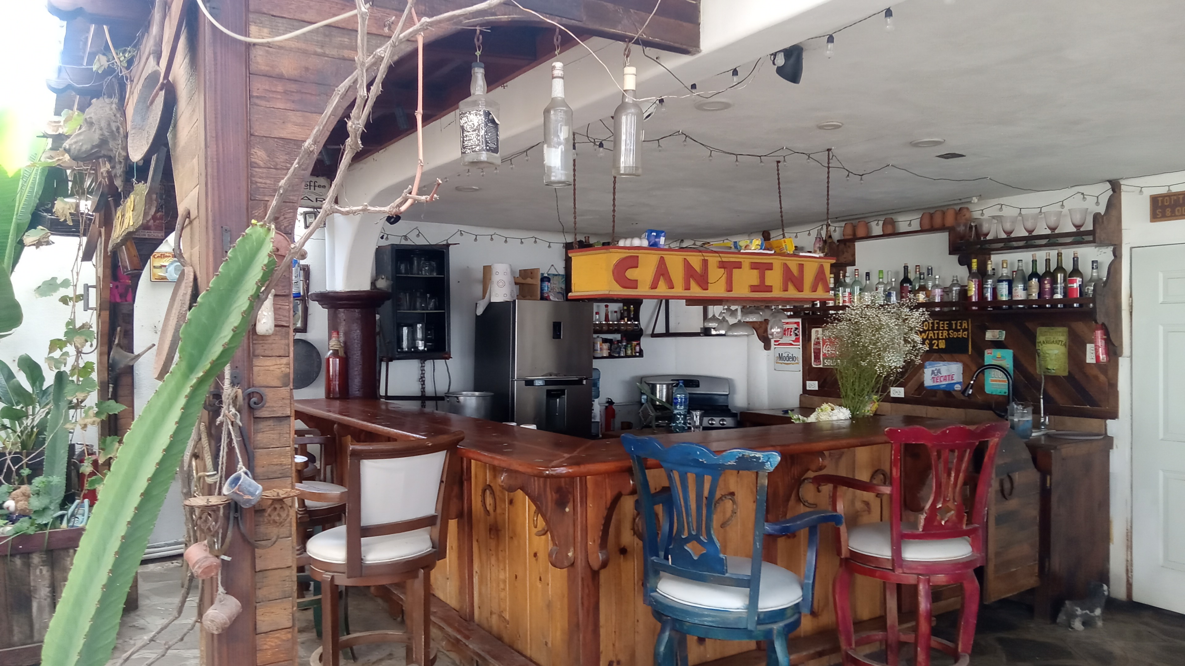 Casa Playa Baja Cantina & Restaurant image 1