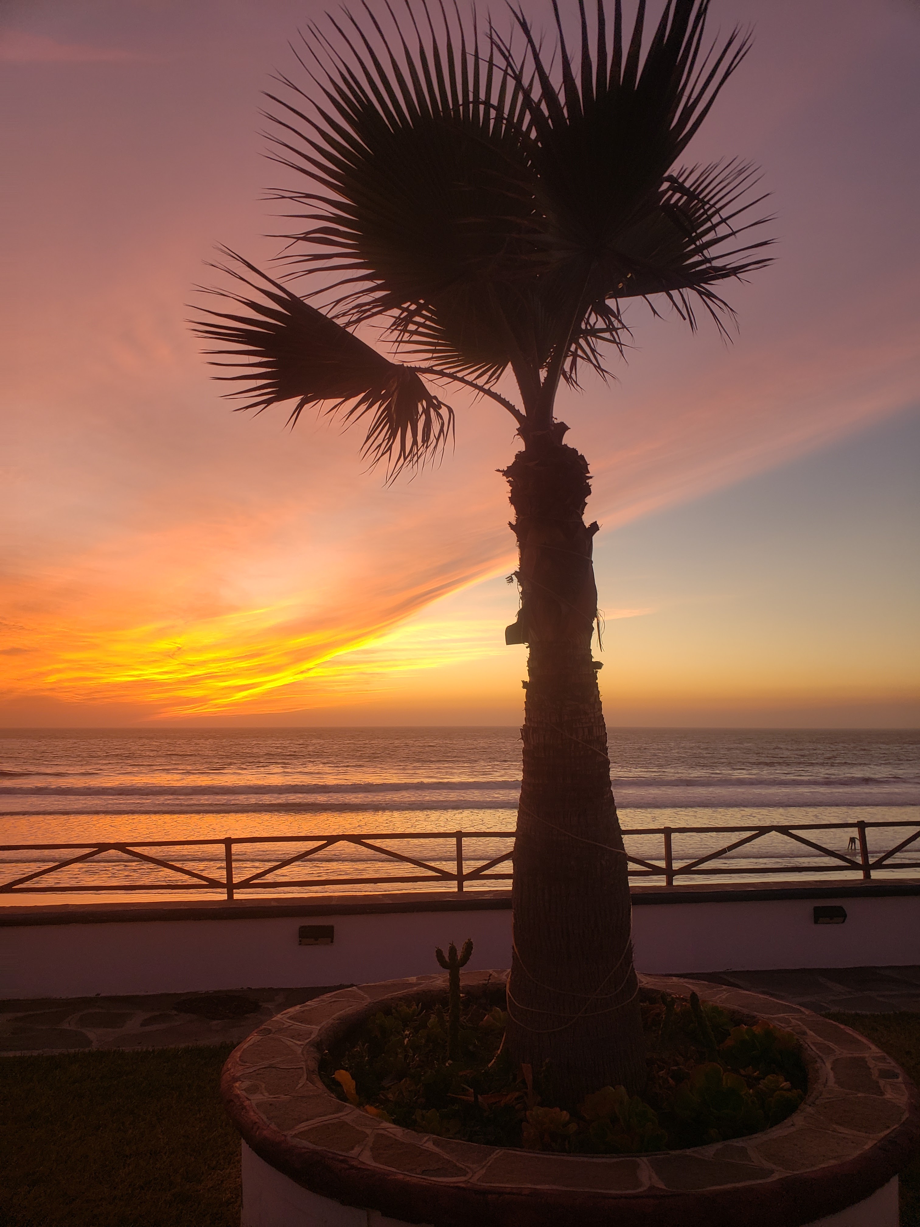 Casa Playa Baja Cantina & Restaurant image 3