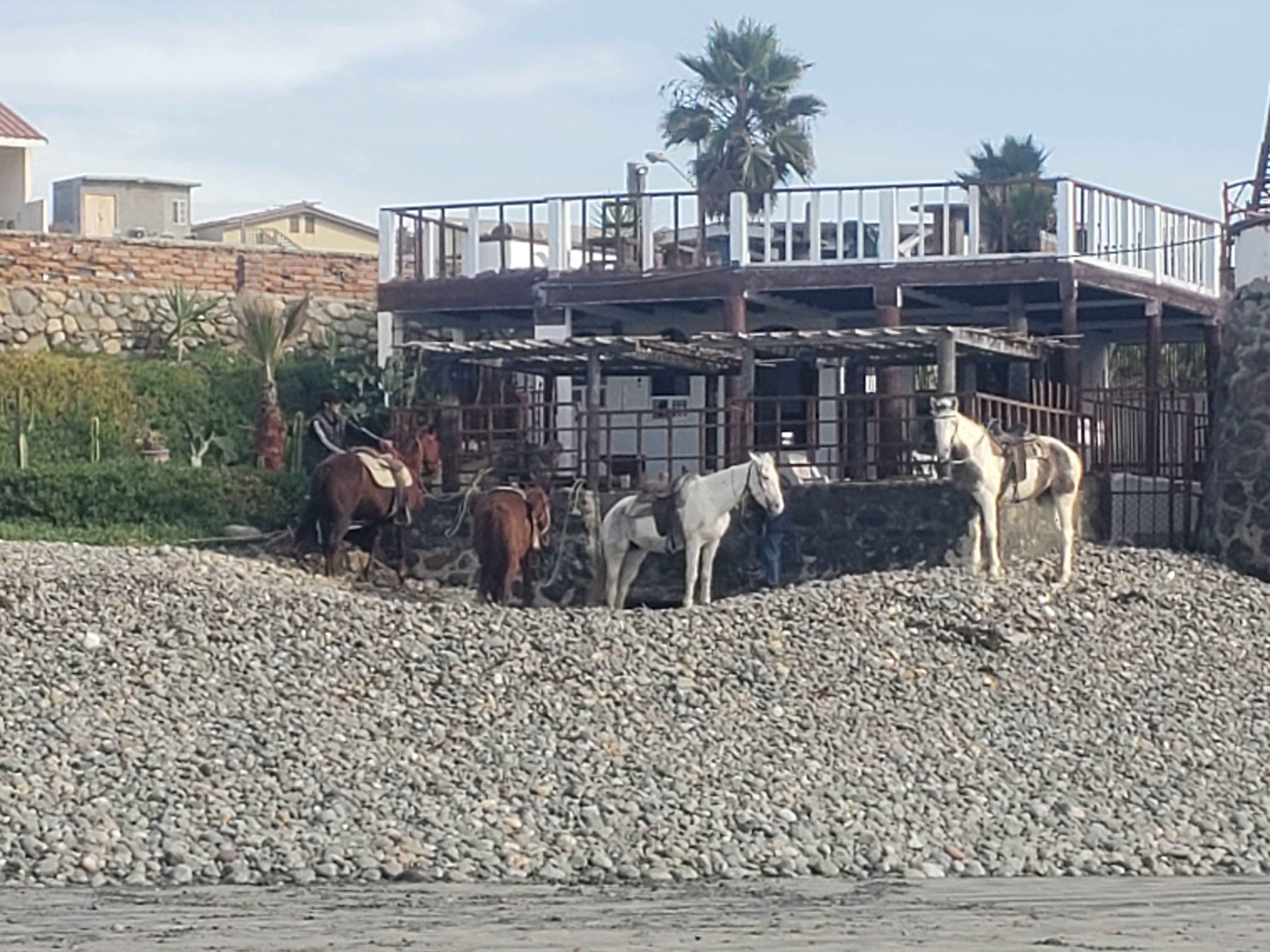 Casa Playa Baja Cantina & Restaurant image 8