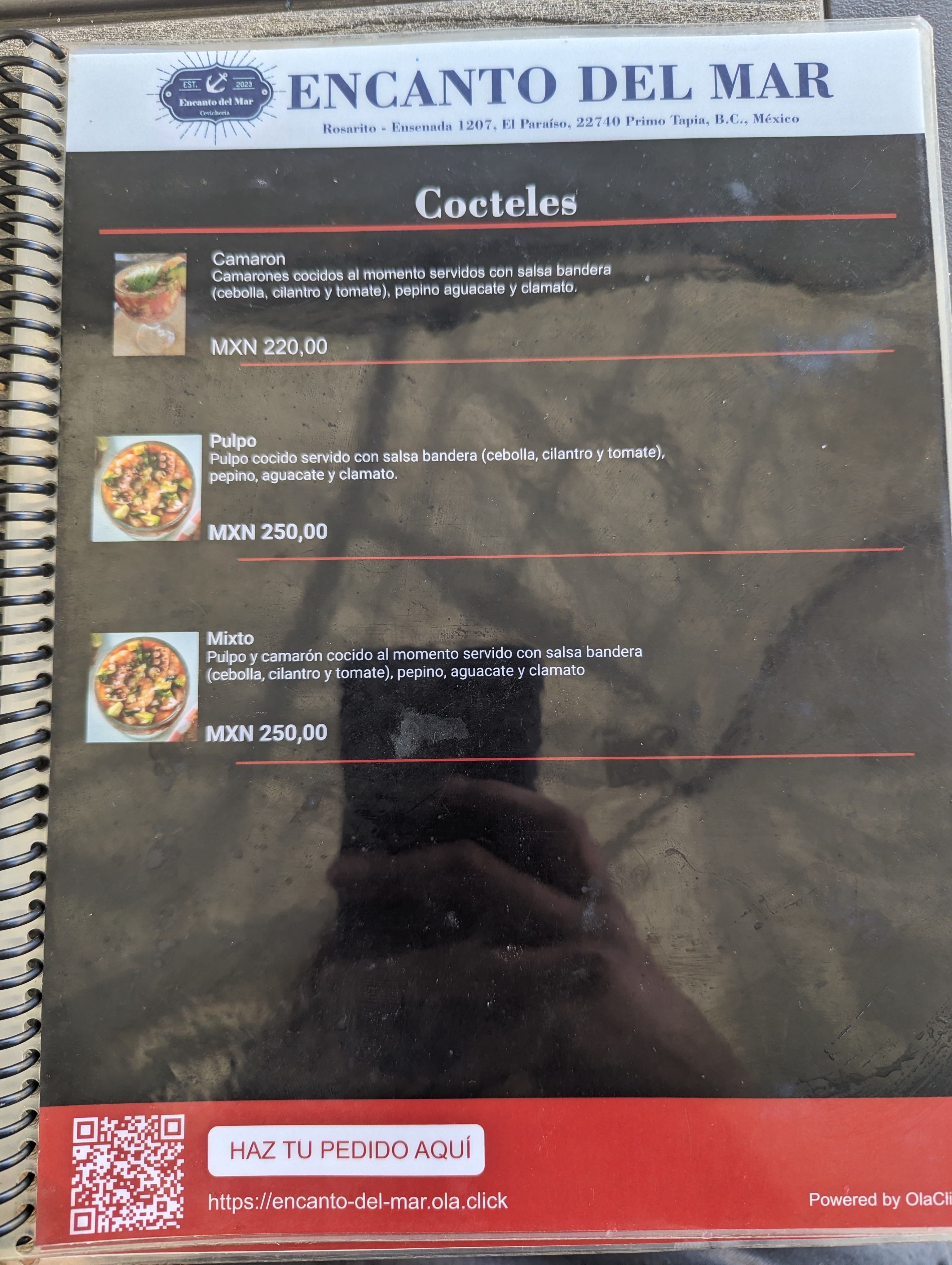 Encanto del mar image 3