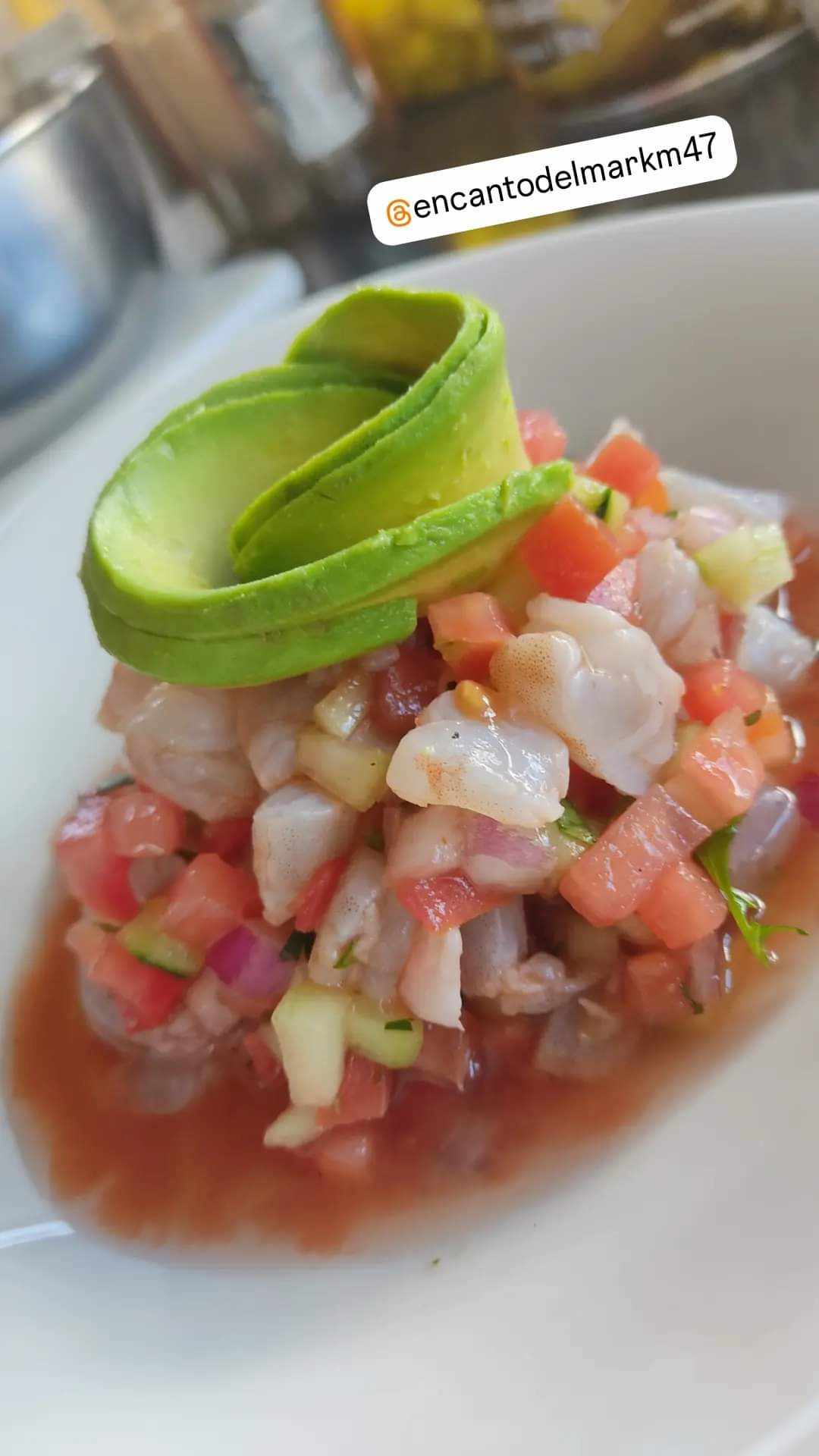 Encanto del mar image 8