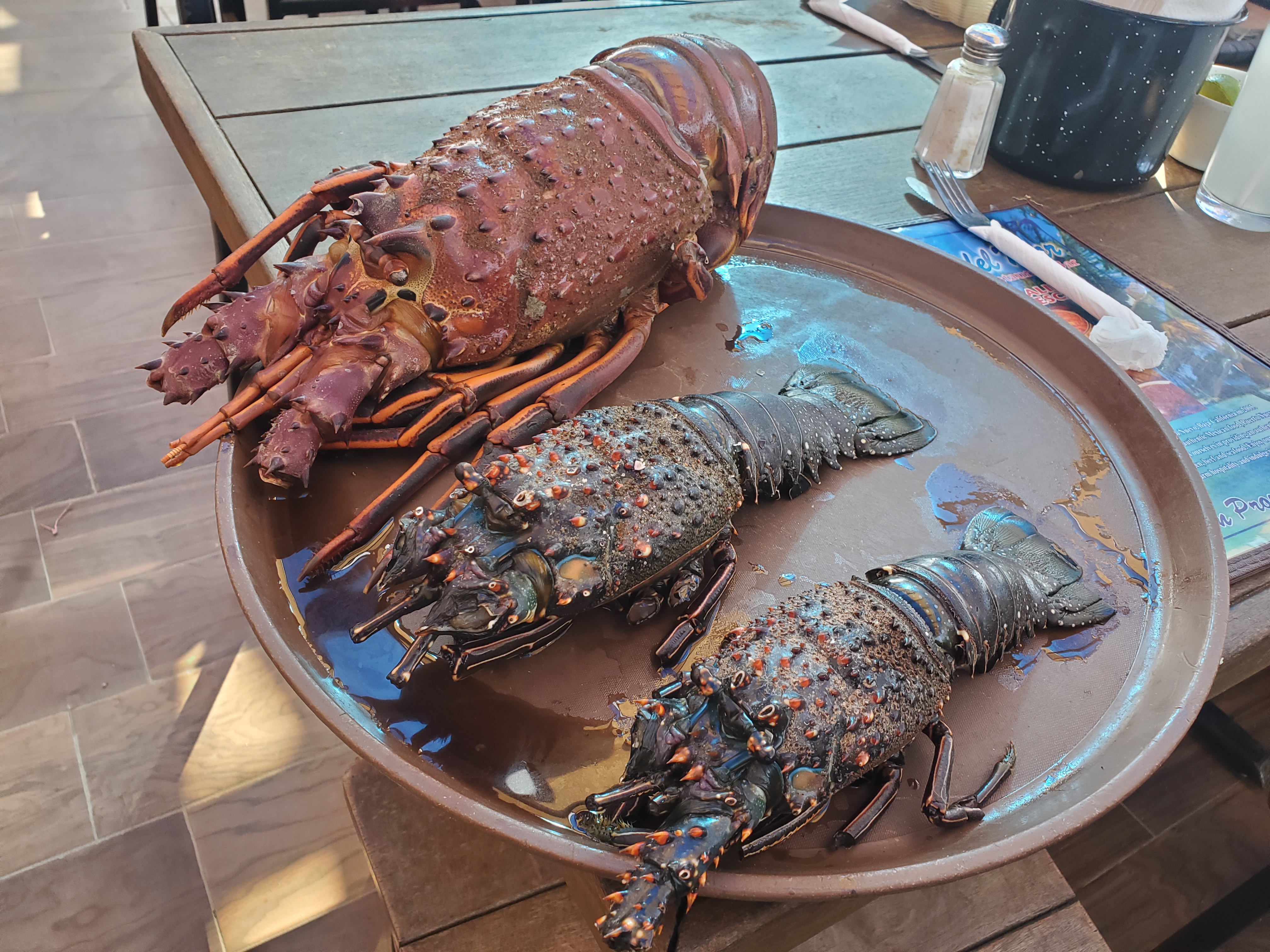 Angel Del Mar image 6