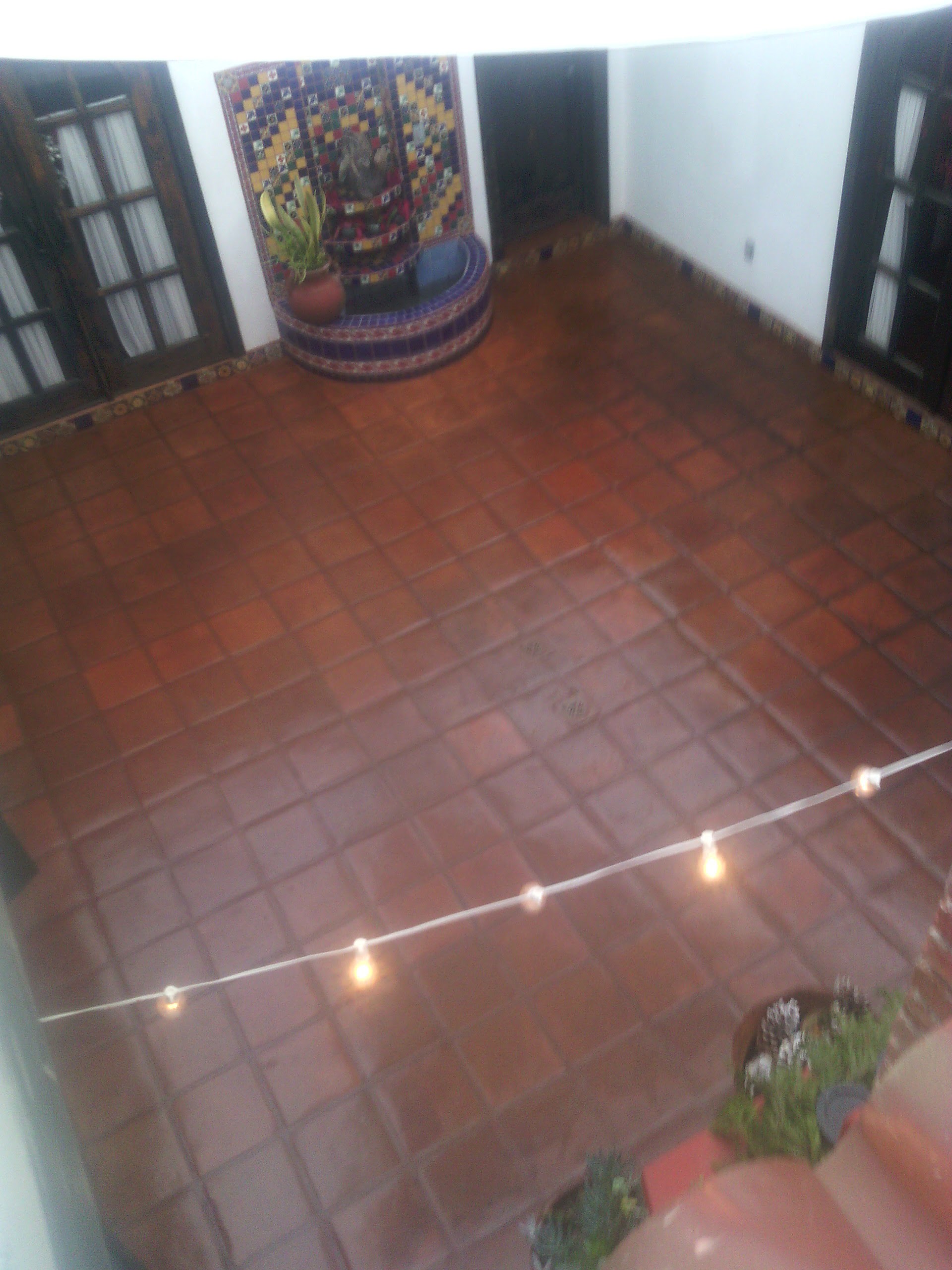 Toogino's Primo Tapia image 6