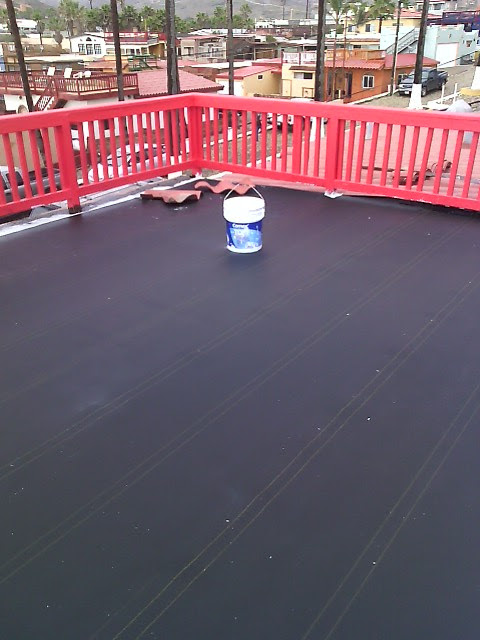 Toogino's Primo Tapia image 7