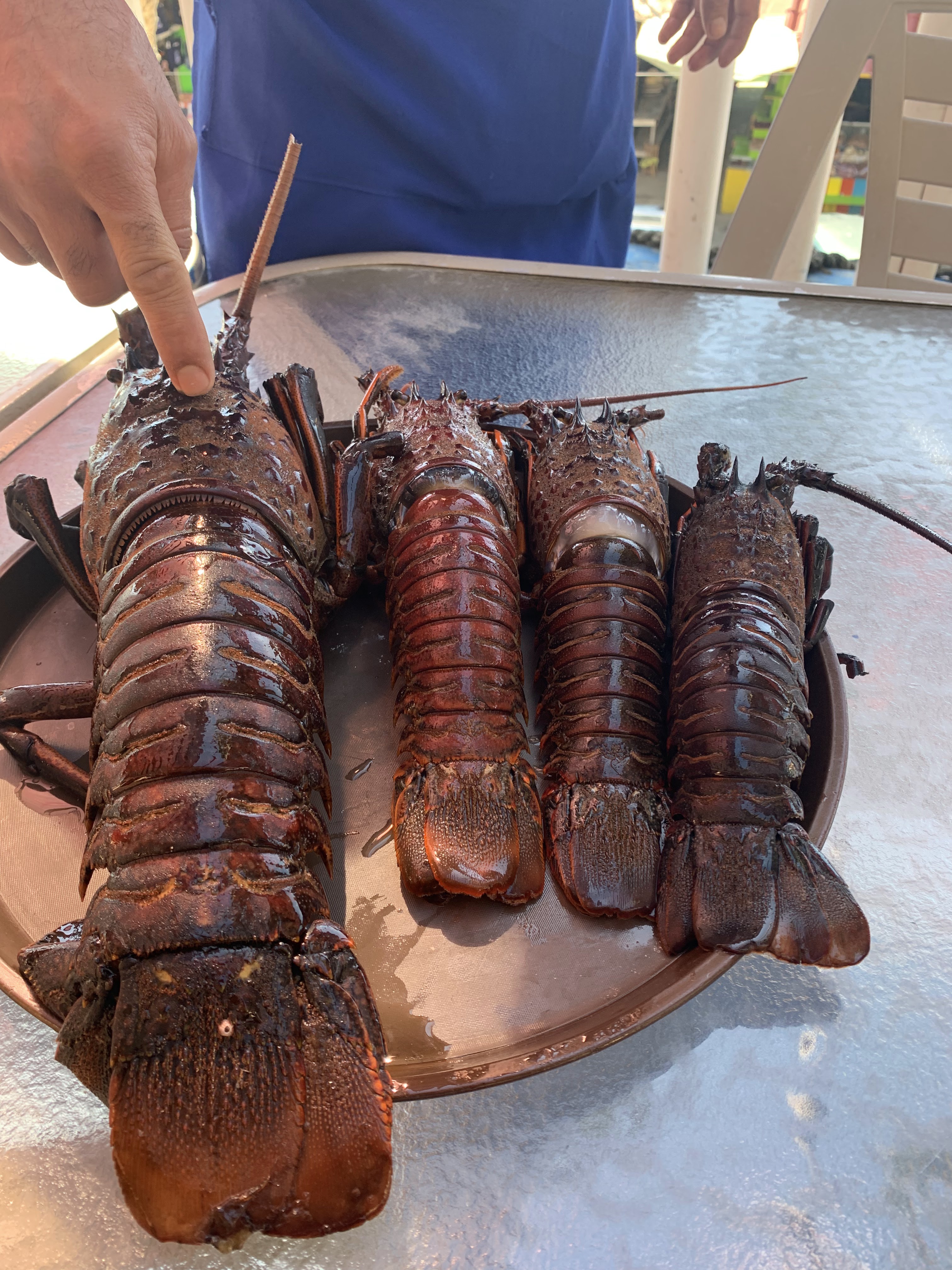 La Escondida Puerto Nuevo. Restaurante Bar image 7